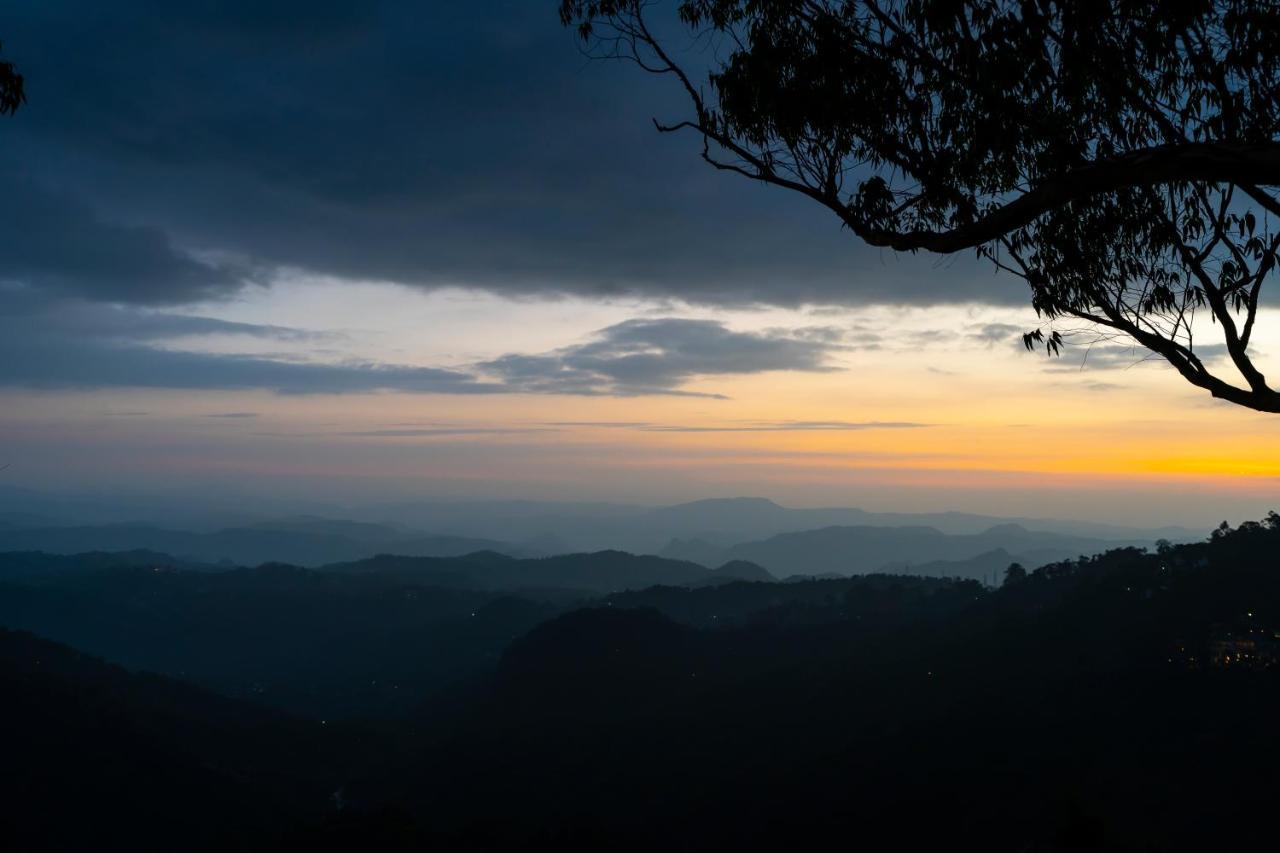 Tea Valley Resort, 4* Munnar