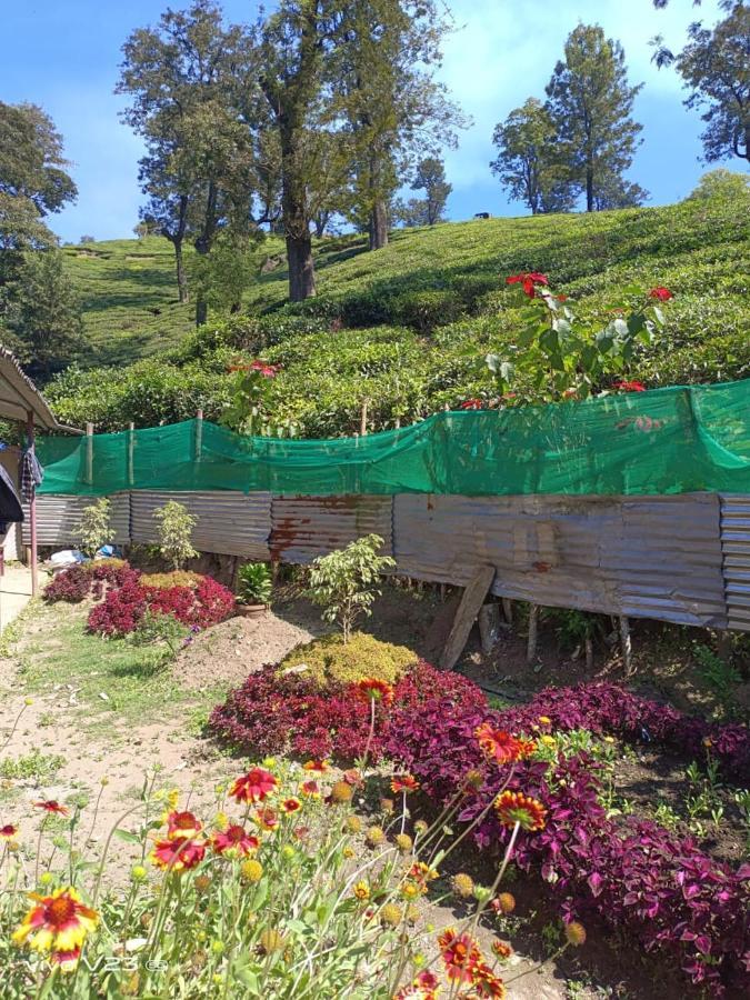Munnar Home Stay *