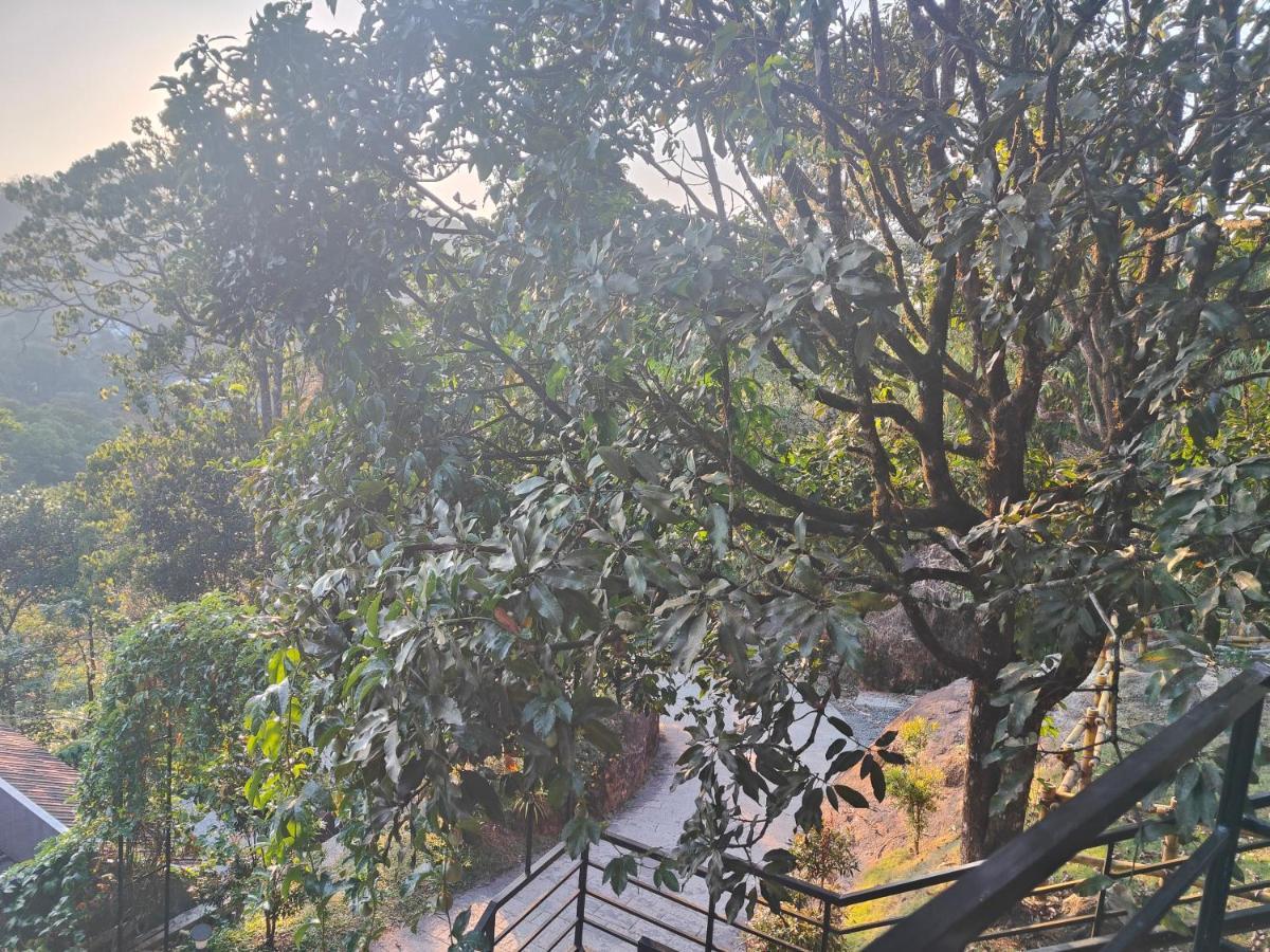 Resort The Wild Trails Munnar