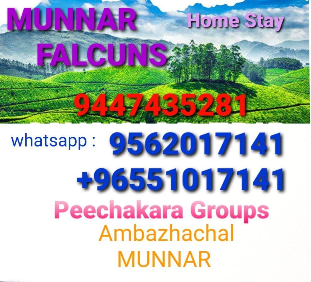 Falcuns *