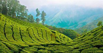 Resort Bellavista Munnar