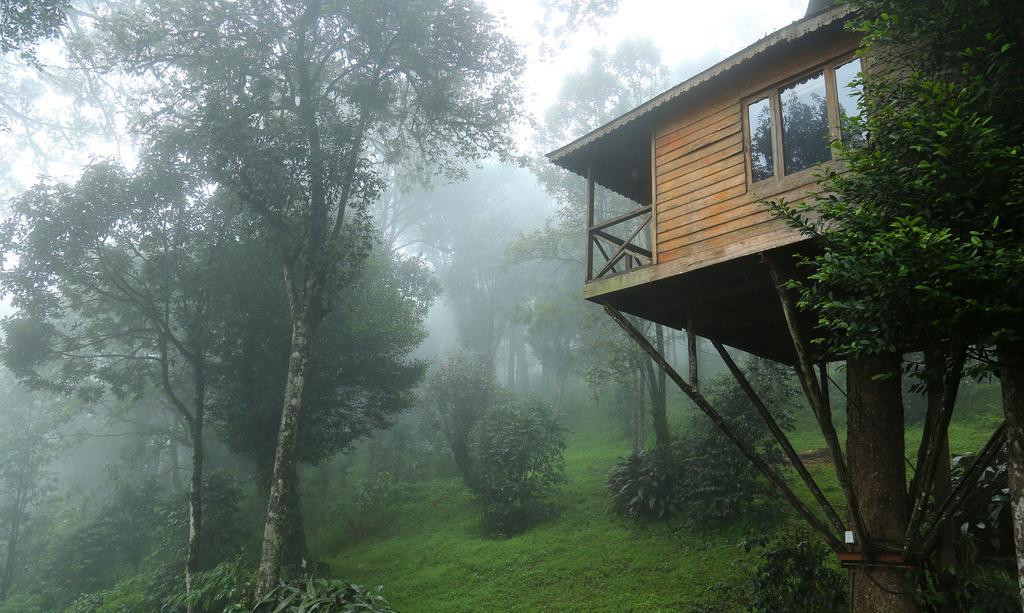 Resort Nature Zone Jungle