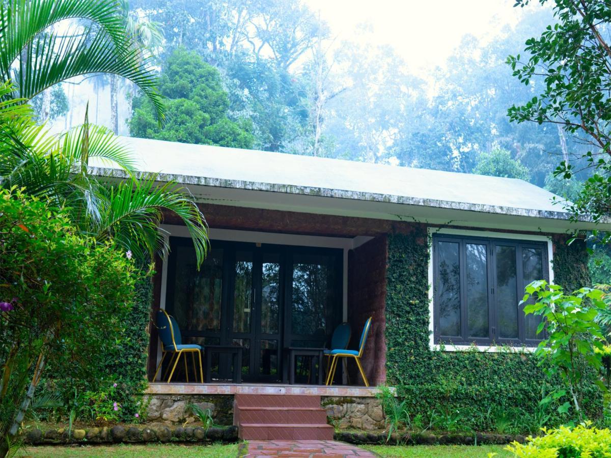 Falling Waters