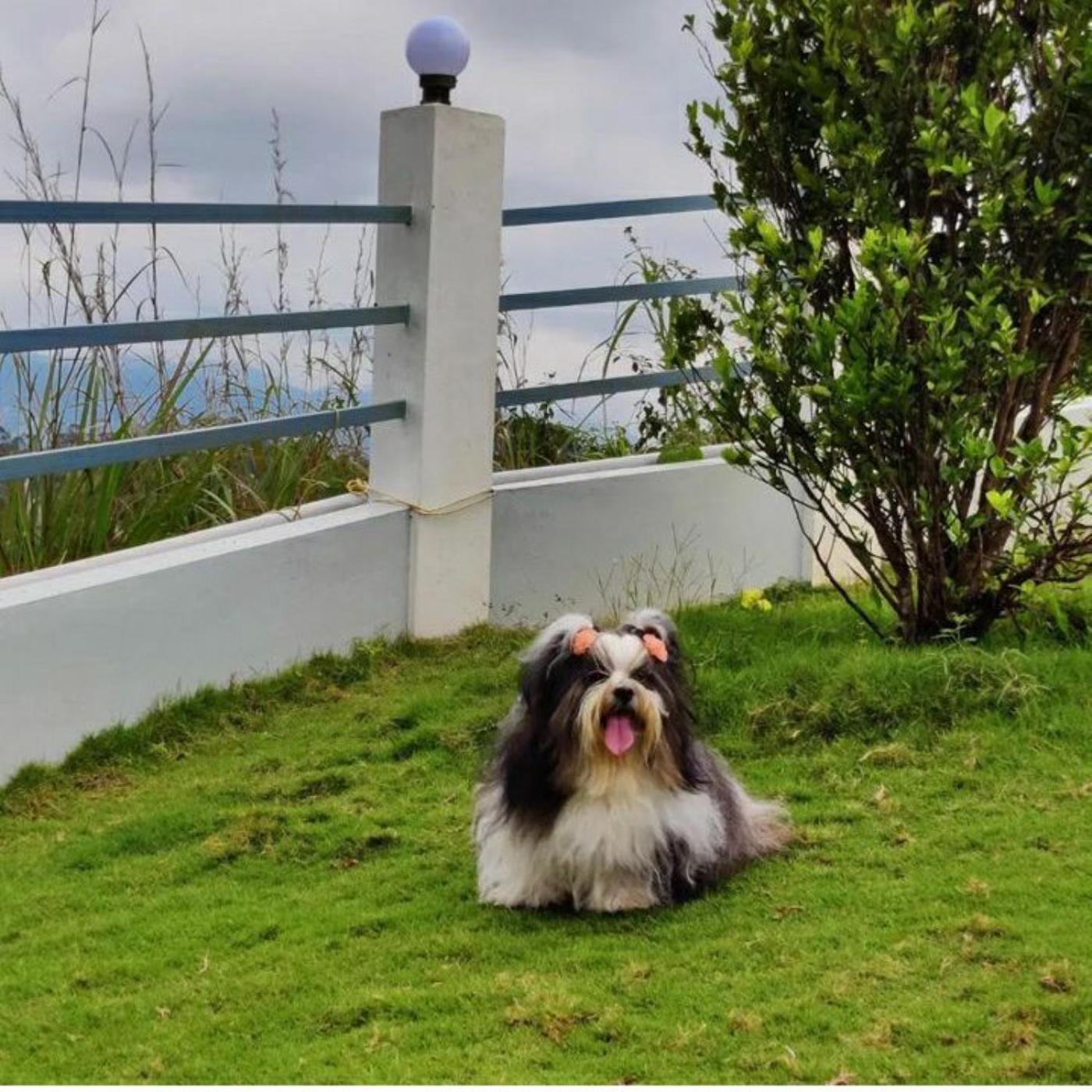 Pleasant Hill Resort Munnar