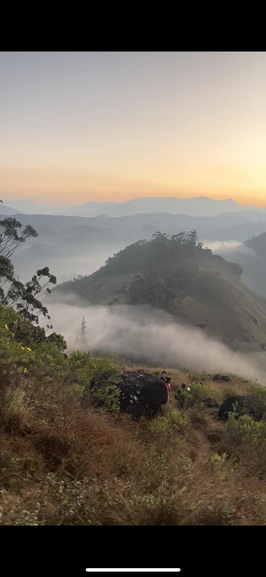 Nature Dale Lodge Munnar