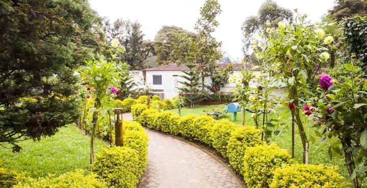 Hotel Westwood Riverside Munnar