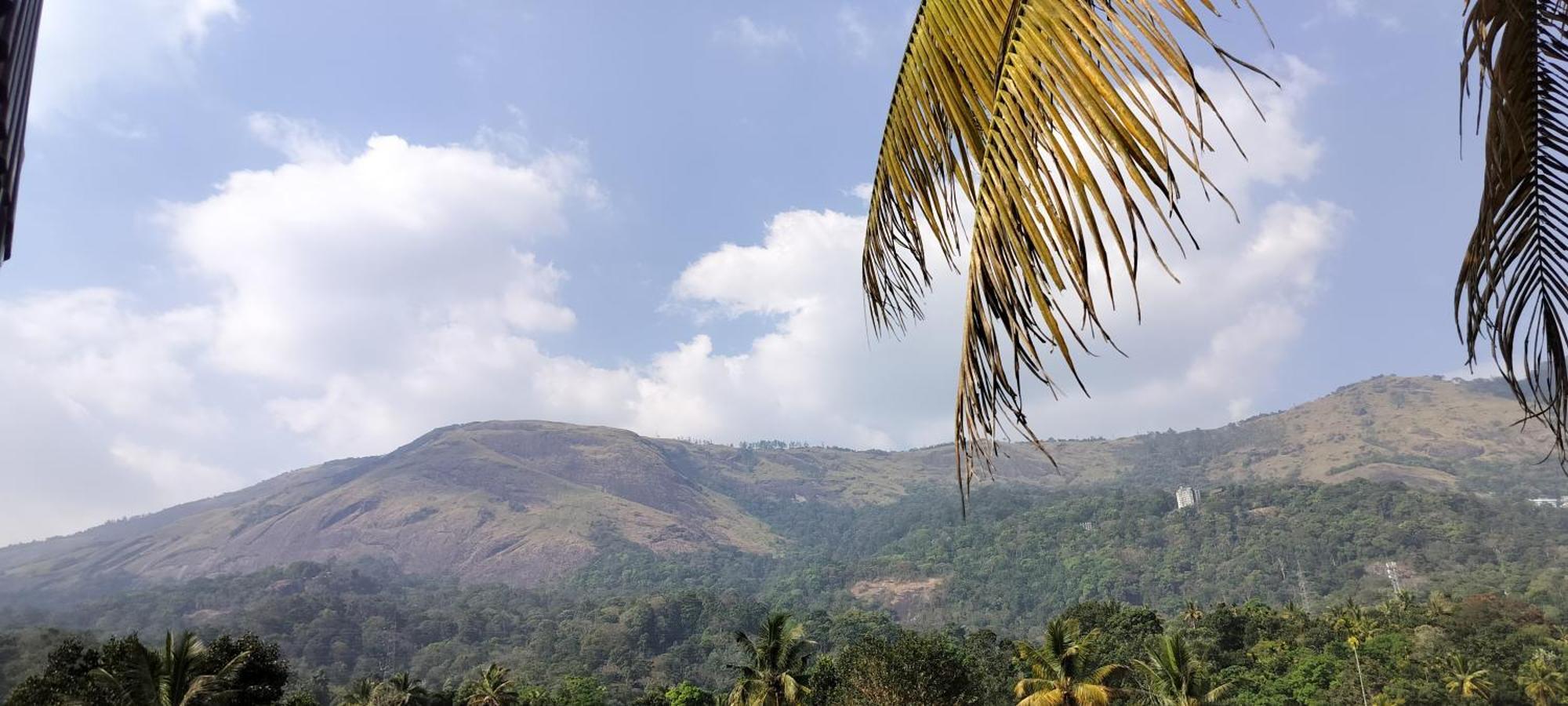 Himadri Holidays Homestay