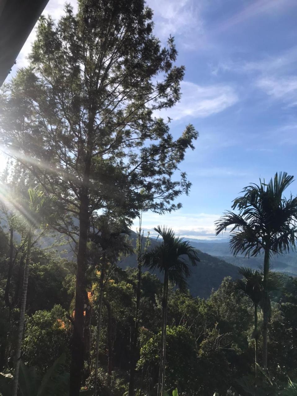 Nature Dale Munnar