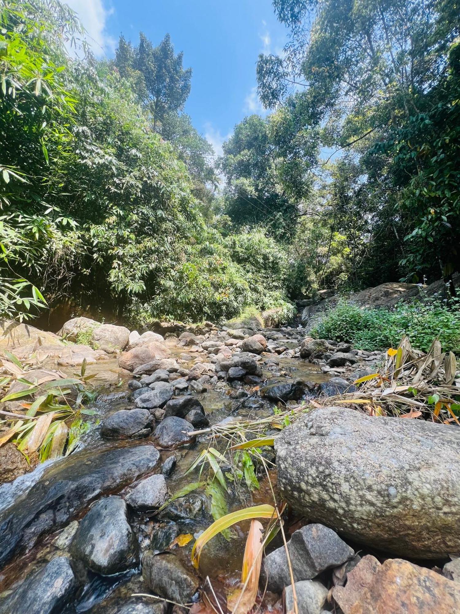 Mount Court * Munnar