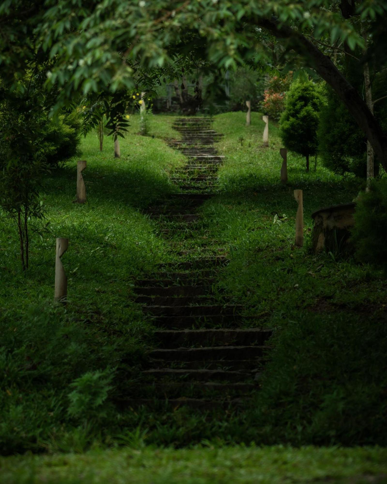 The Mudhouse Marayoor * Munnar