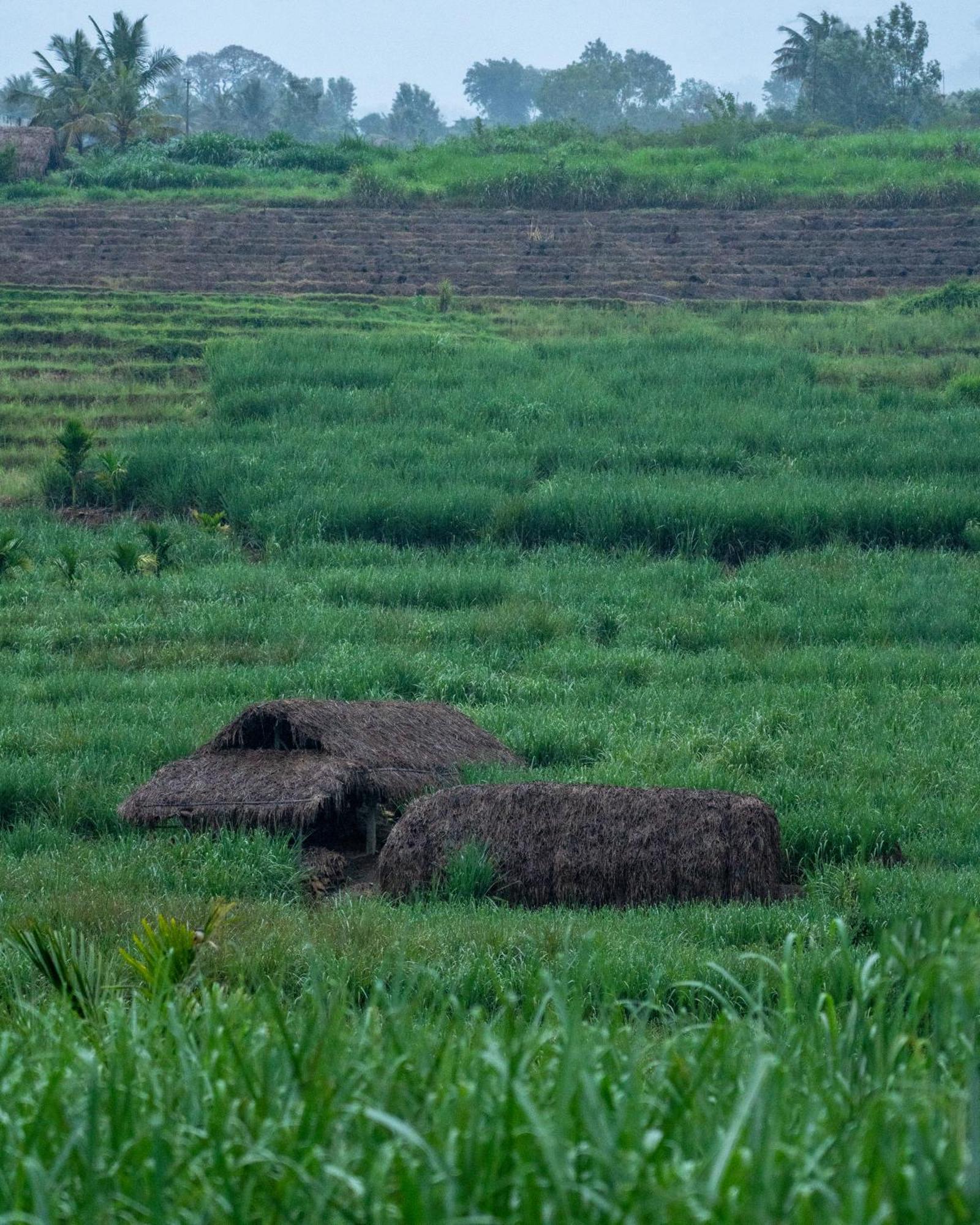 The Mudhouse Marayoor
