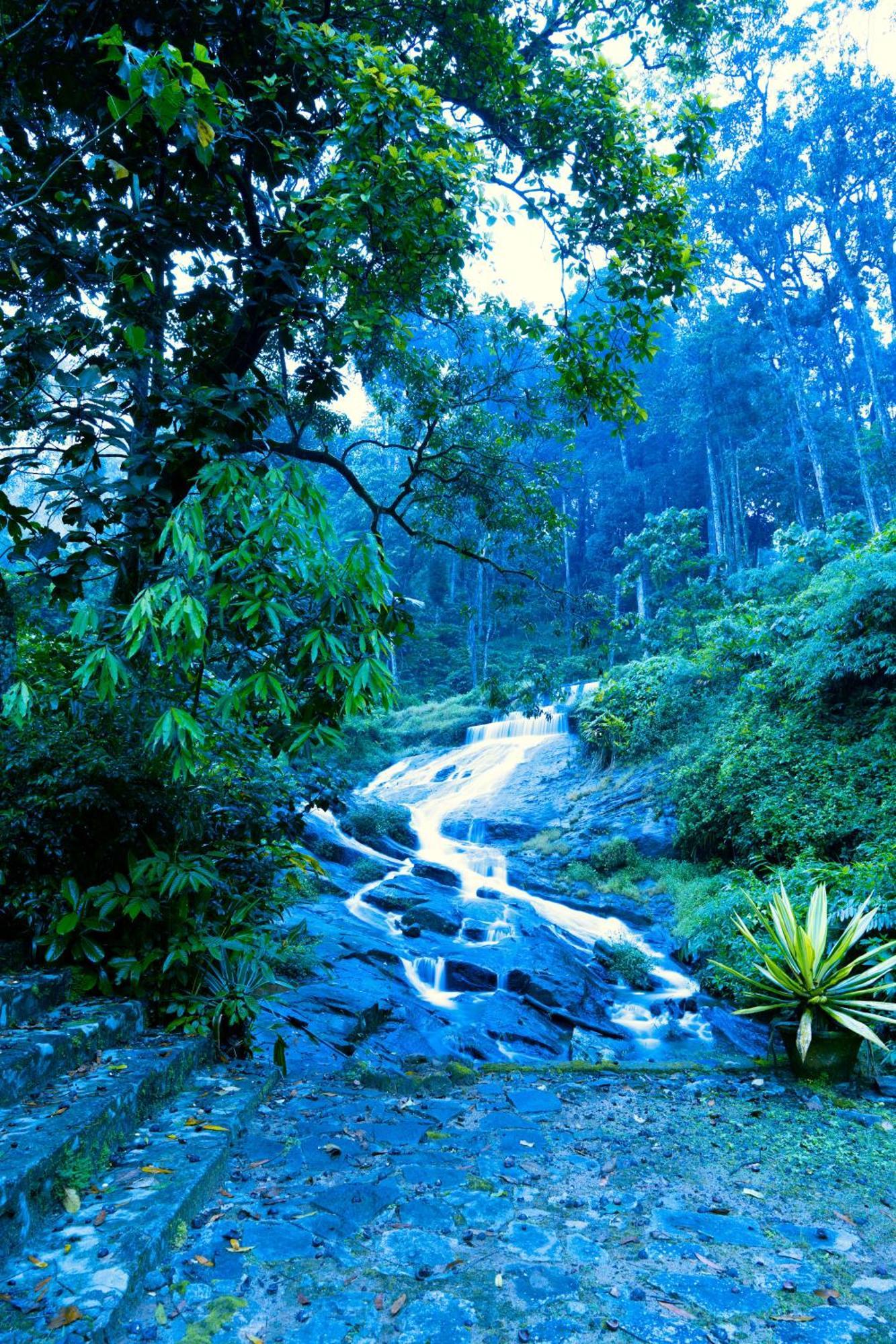 Falling Waters 3*