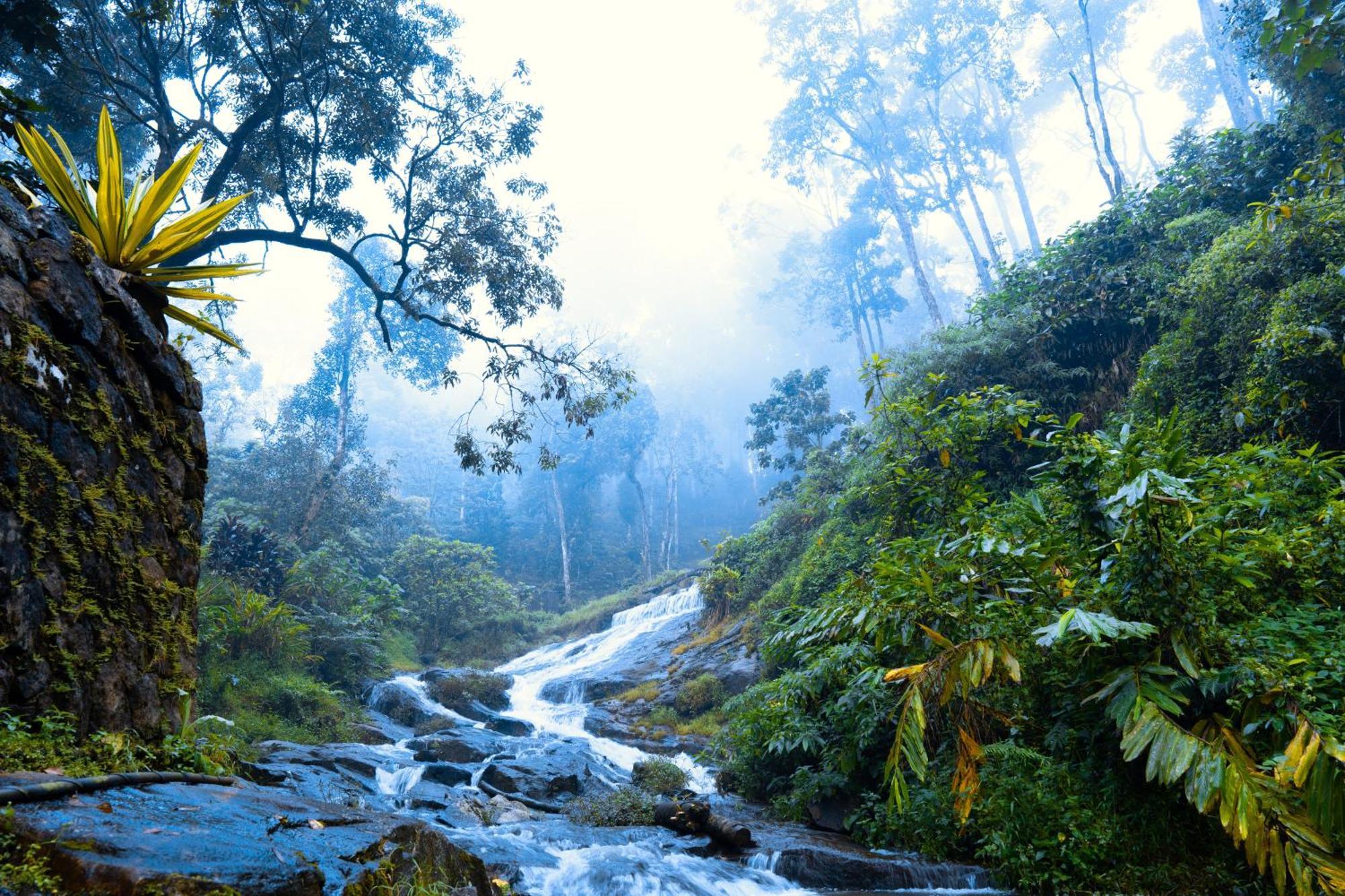 Falling Waters Hotel Munnar