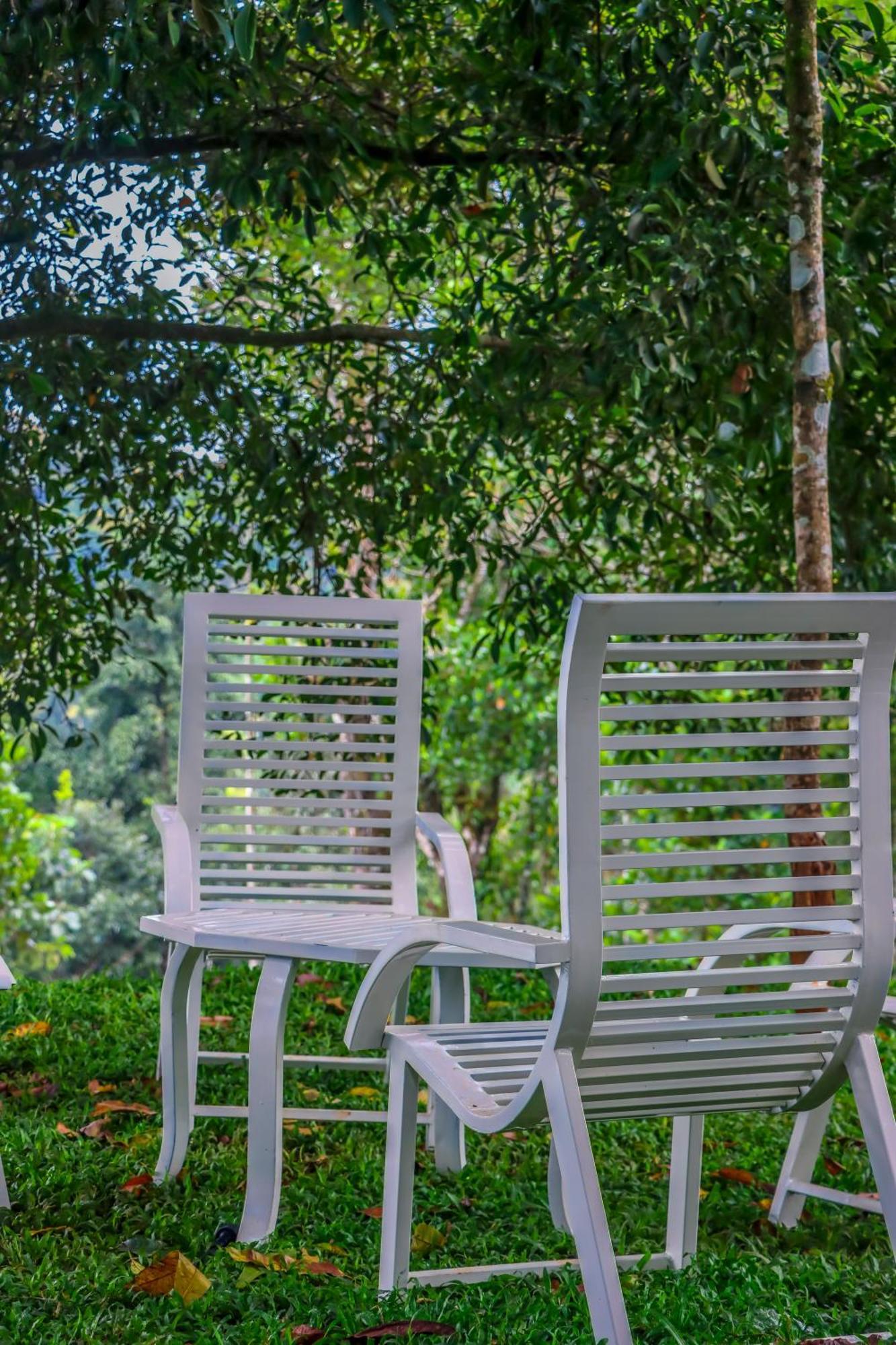 Winter Note Hotel Munnar