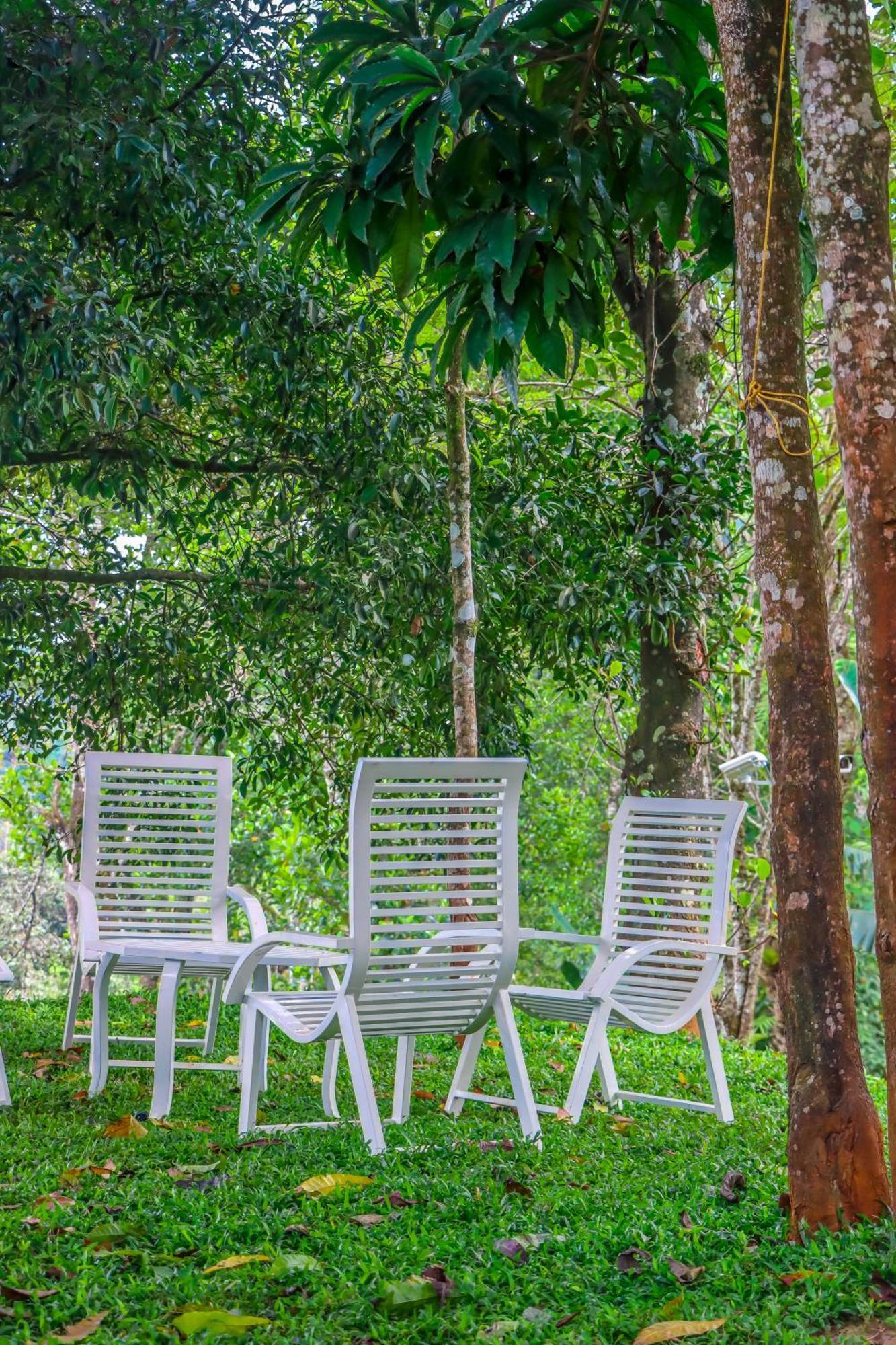 Winter Note Hotel Munnar