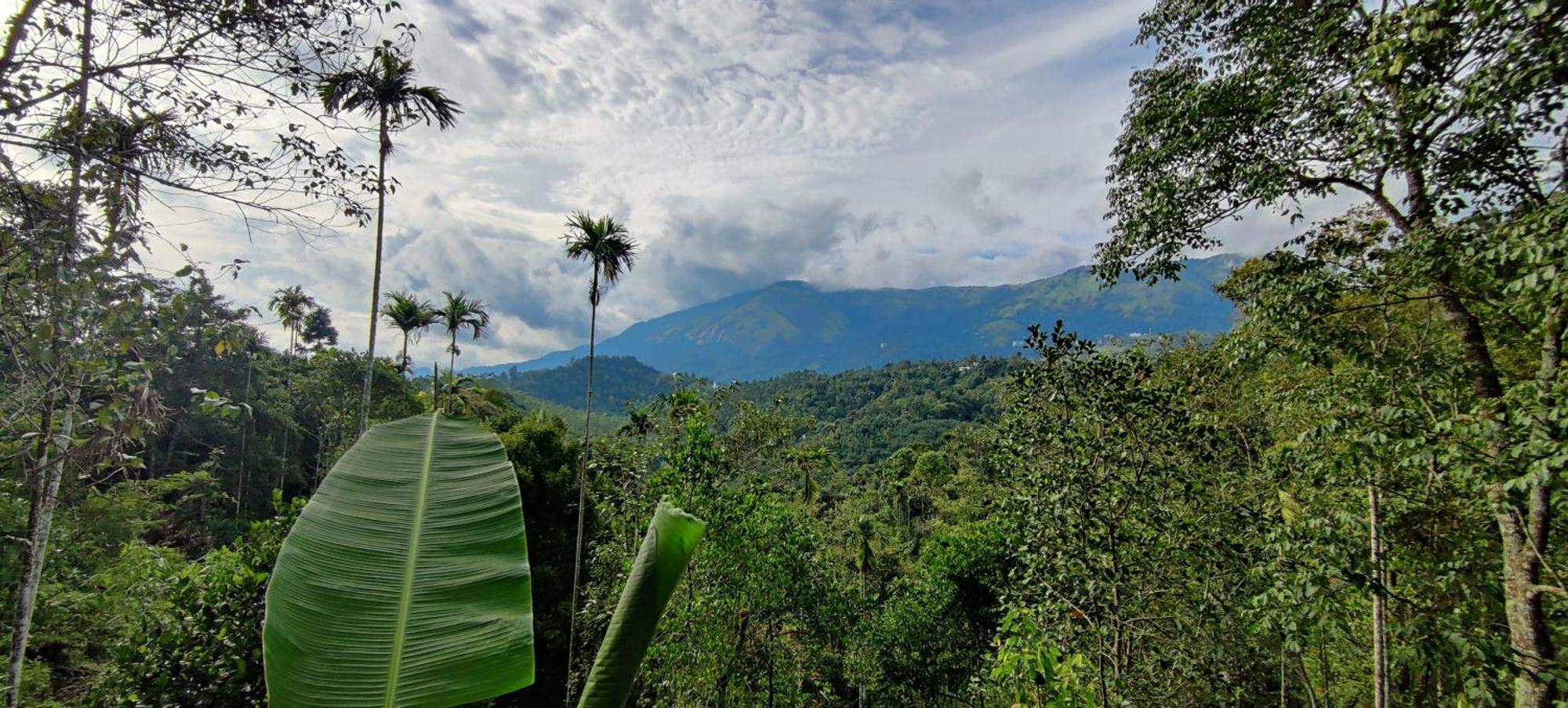Chalona Hill View * Munnar