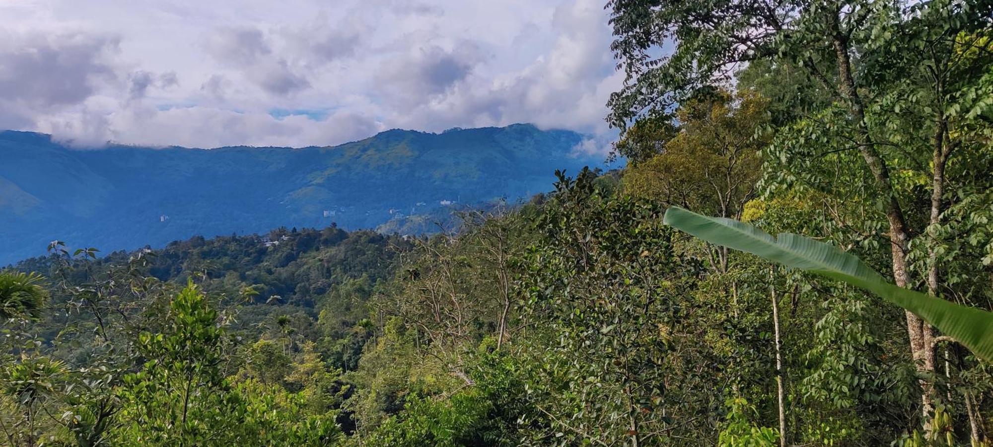 Chalona Hill View