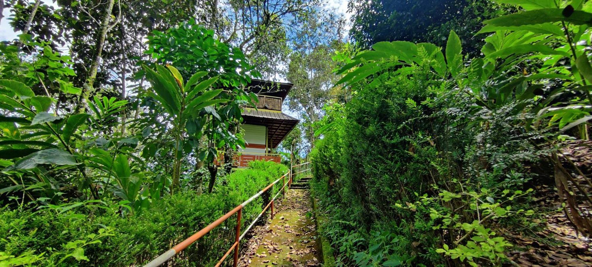 Chalona Hill View Resort