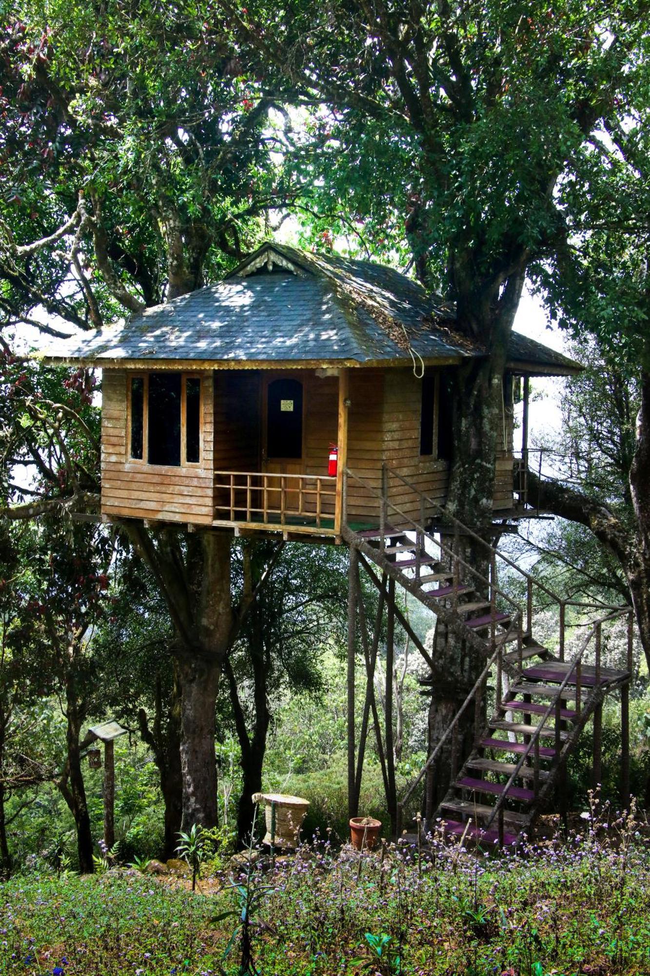 Resort Nature Zone Jungle