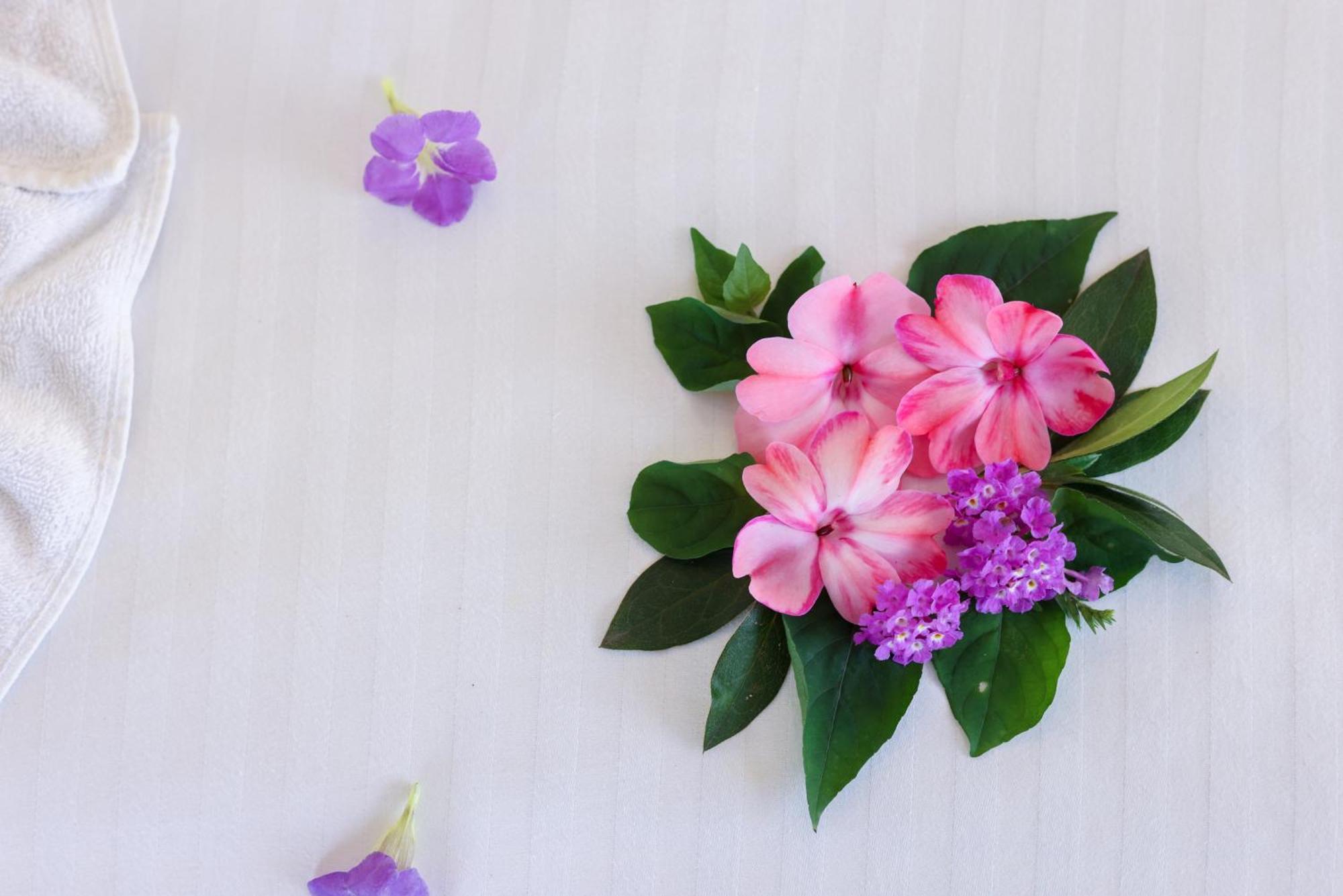 Eterno Camellia And Elettaria Resort 4*