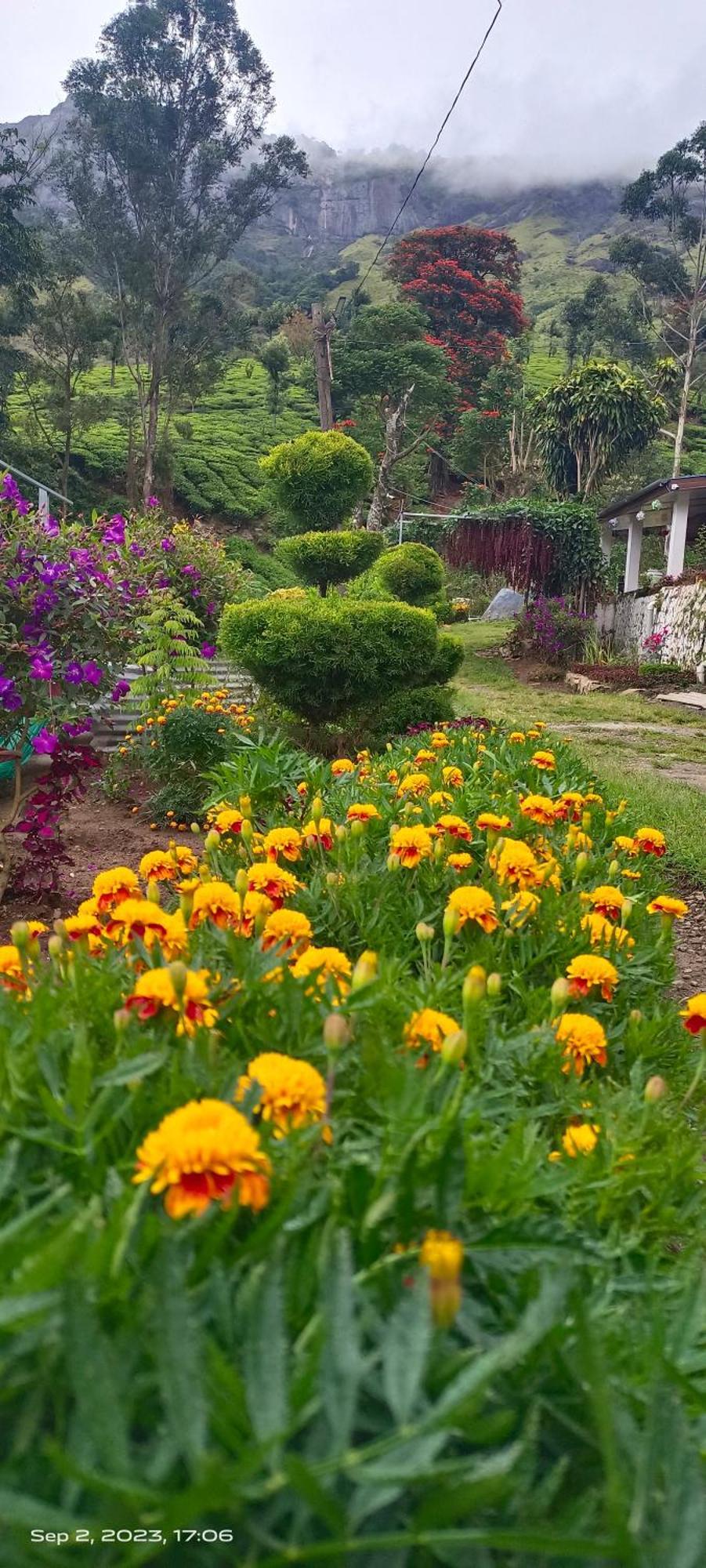 Munnar Home Stay Homestay Munnar