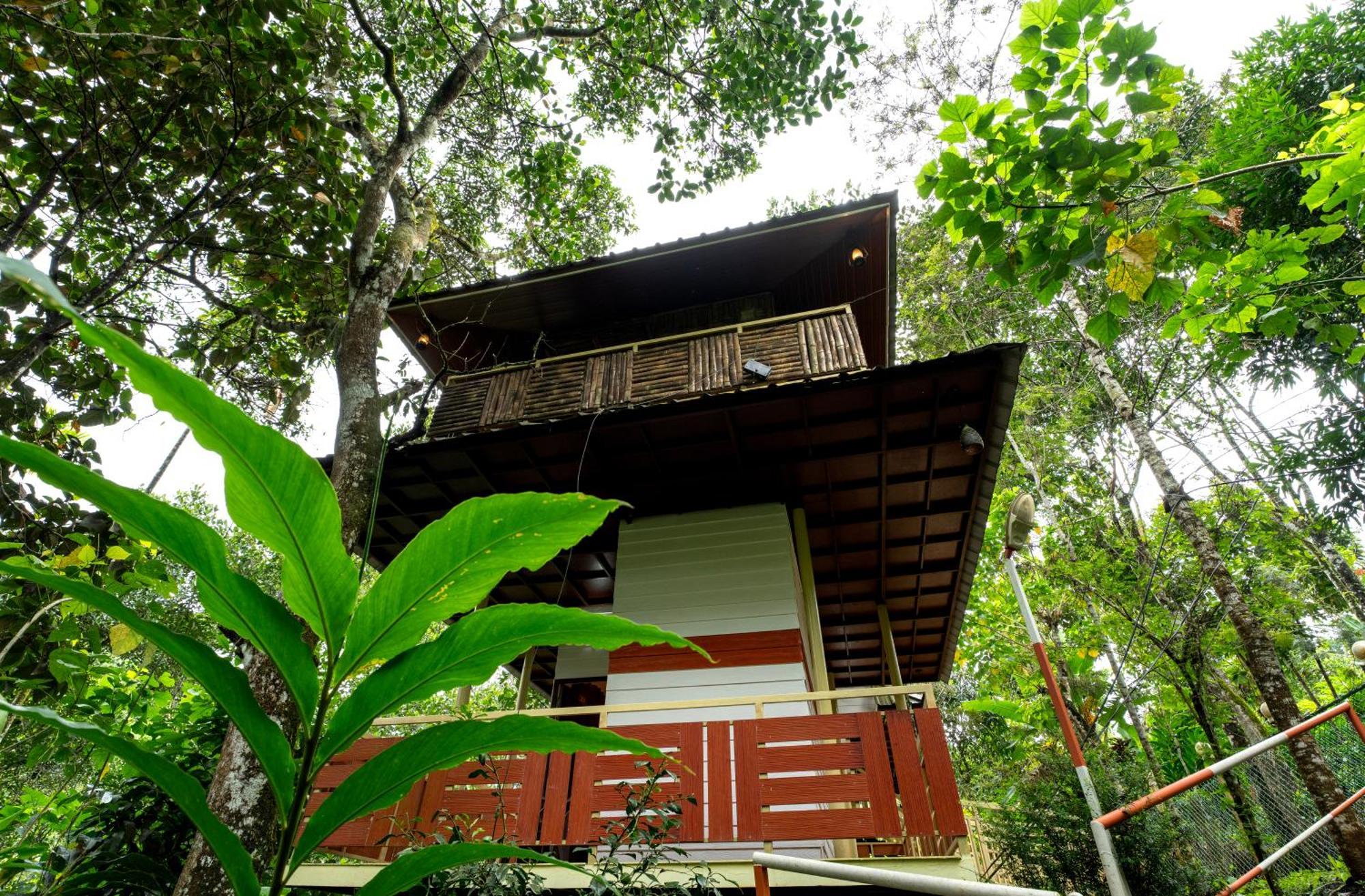 Resort Chalona Hill View Munnar