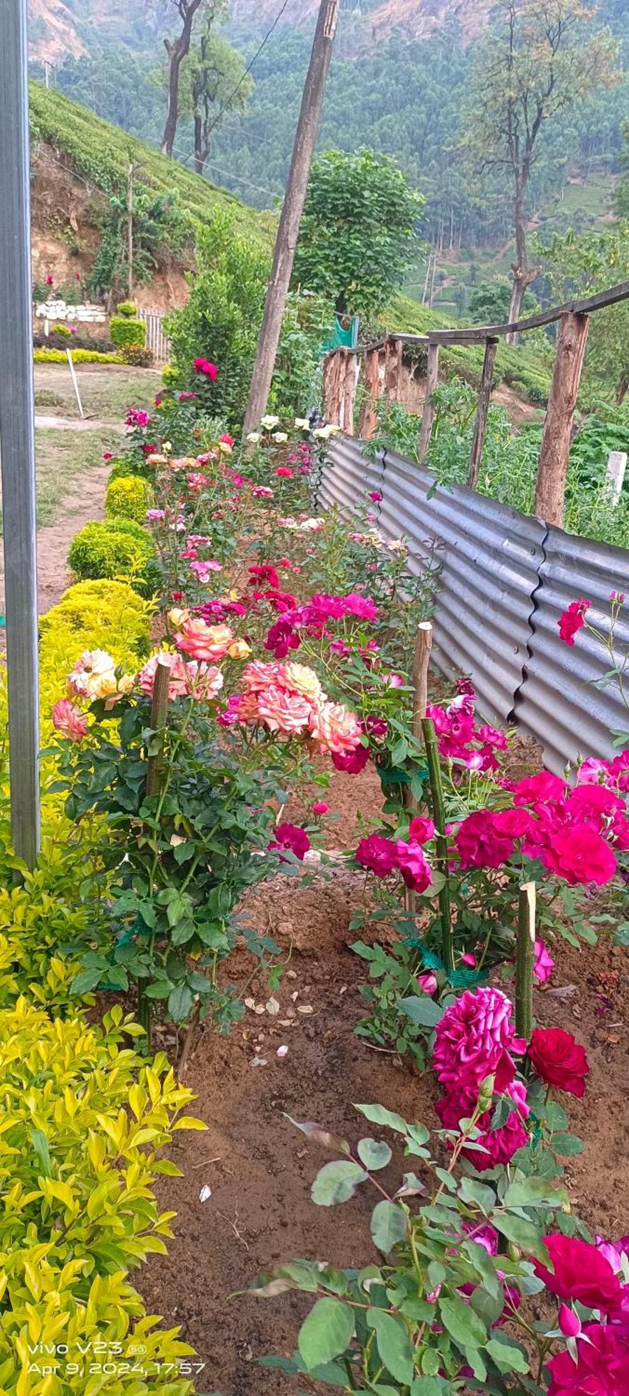 Homestay Munnar Home Stay Munnar