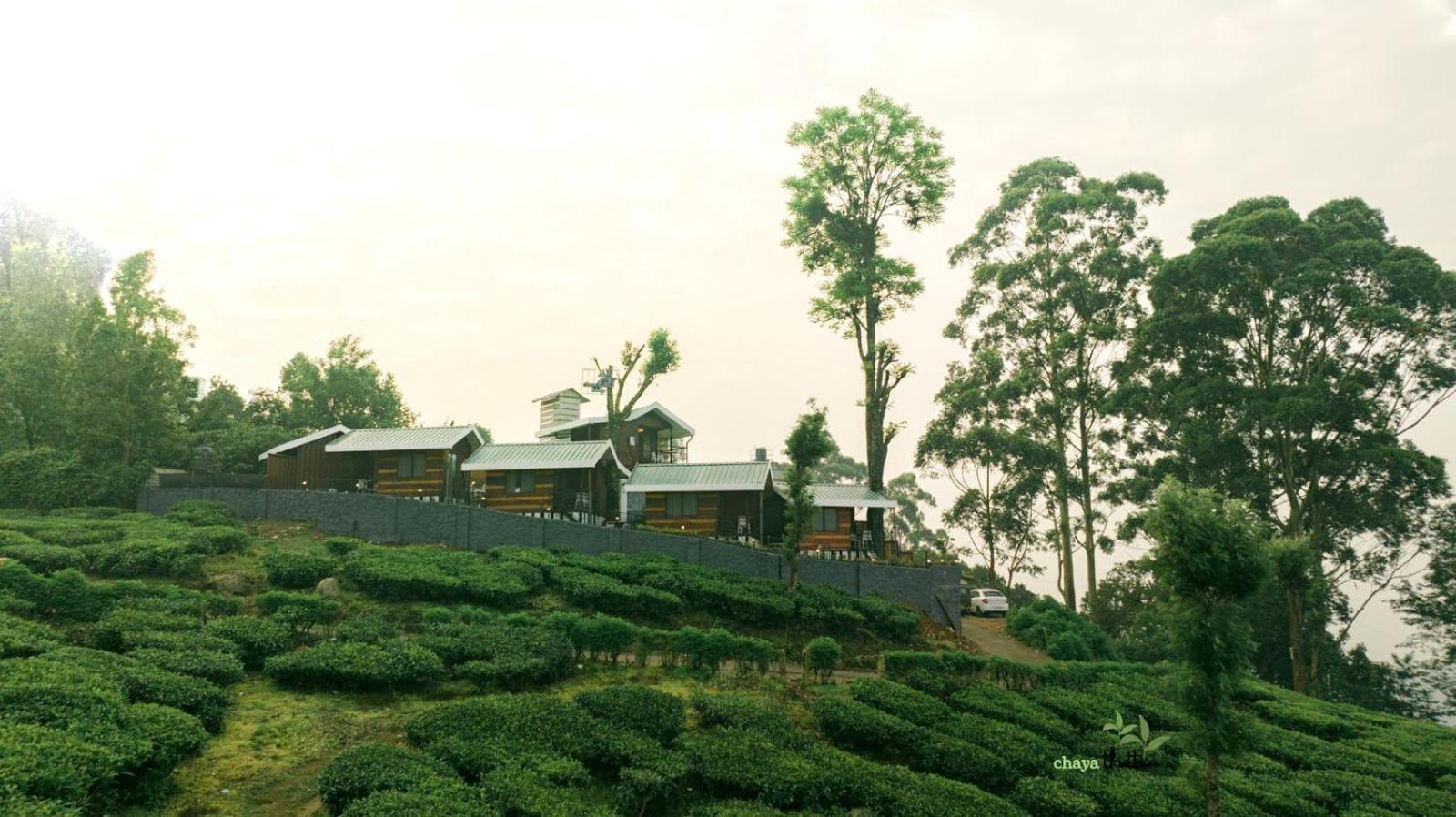 Homestay Chayathottam Holidays Munnar