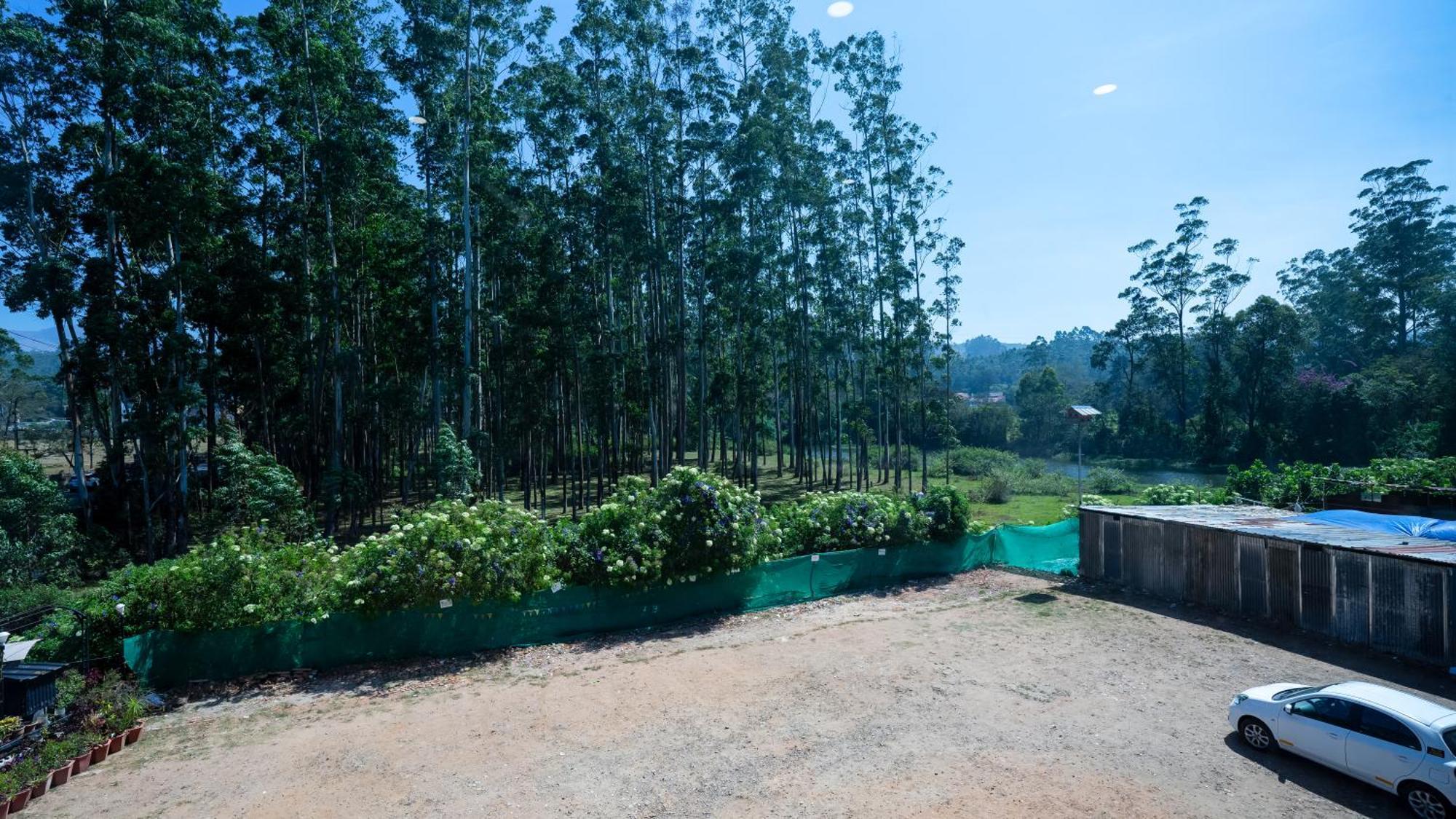 Hillview 4* Munnar