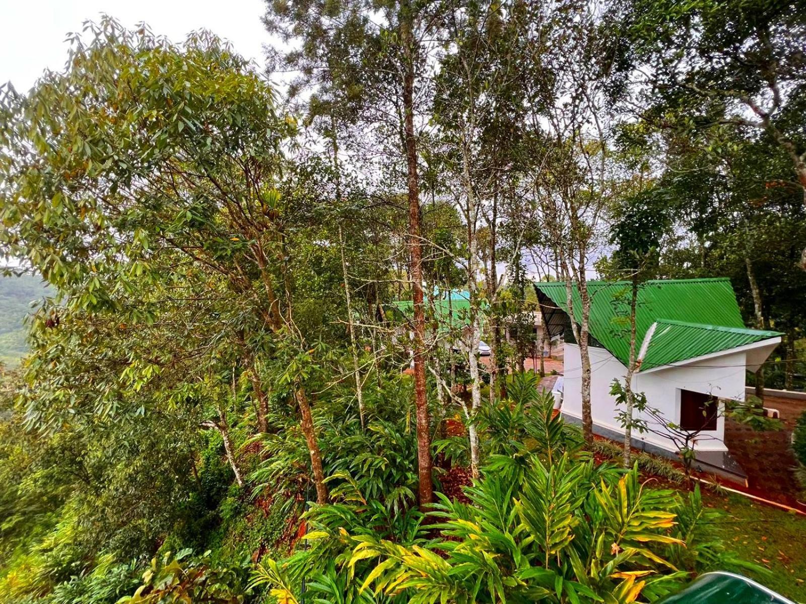 Misty Resorts,