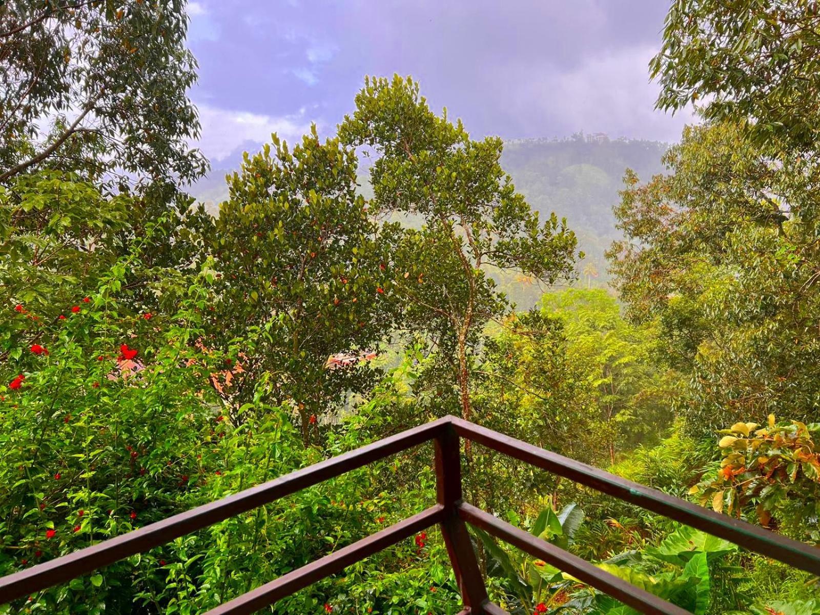 Misty Resorts, 3*