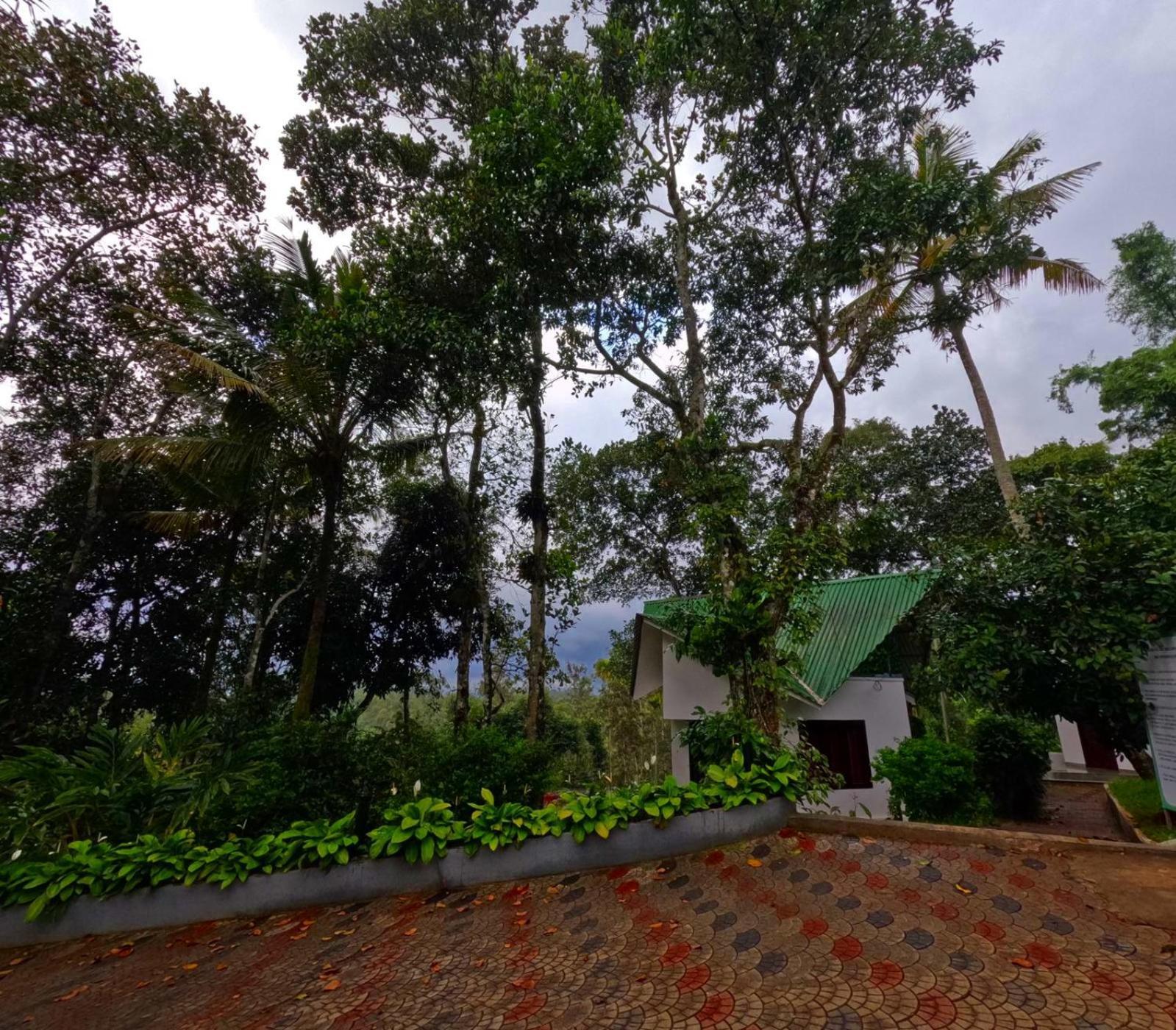 Resort Misty Resorts, Munnar