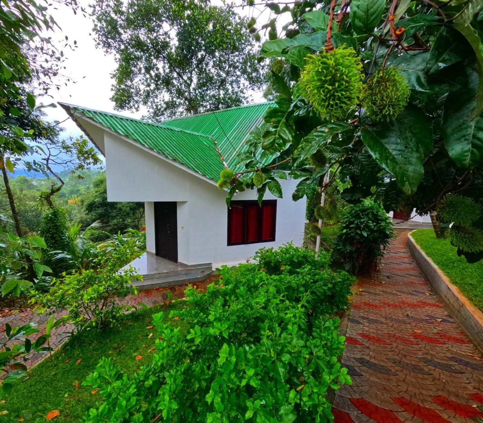 Misty Resorts, 3* Munnar