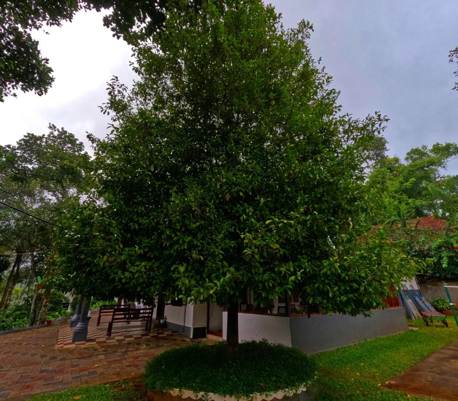 Misty Resorts, Resort 3*