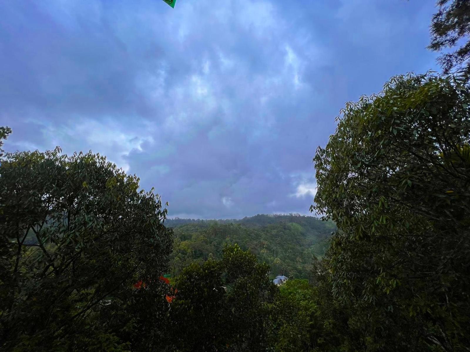 Resort Misty Resorts, Munnar