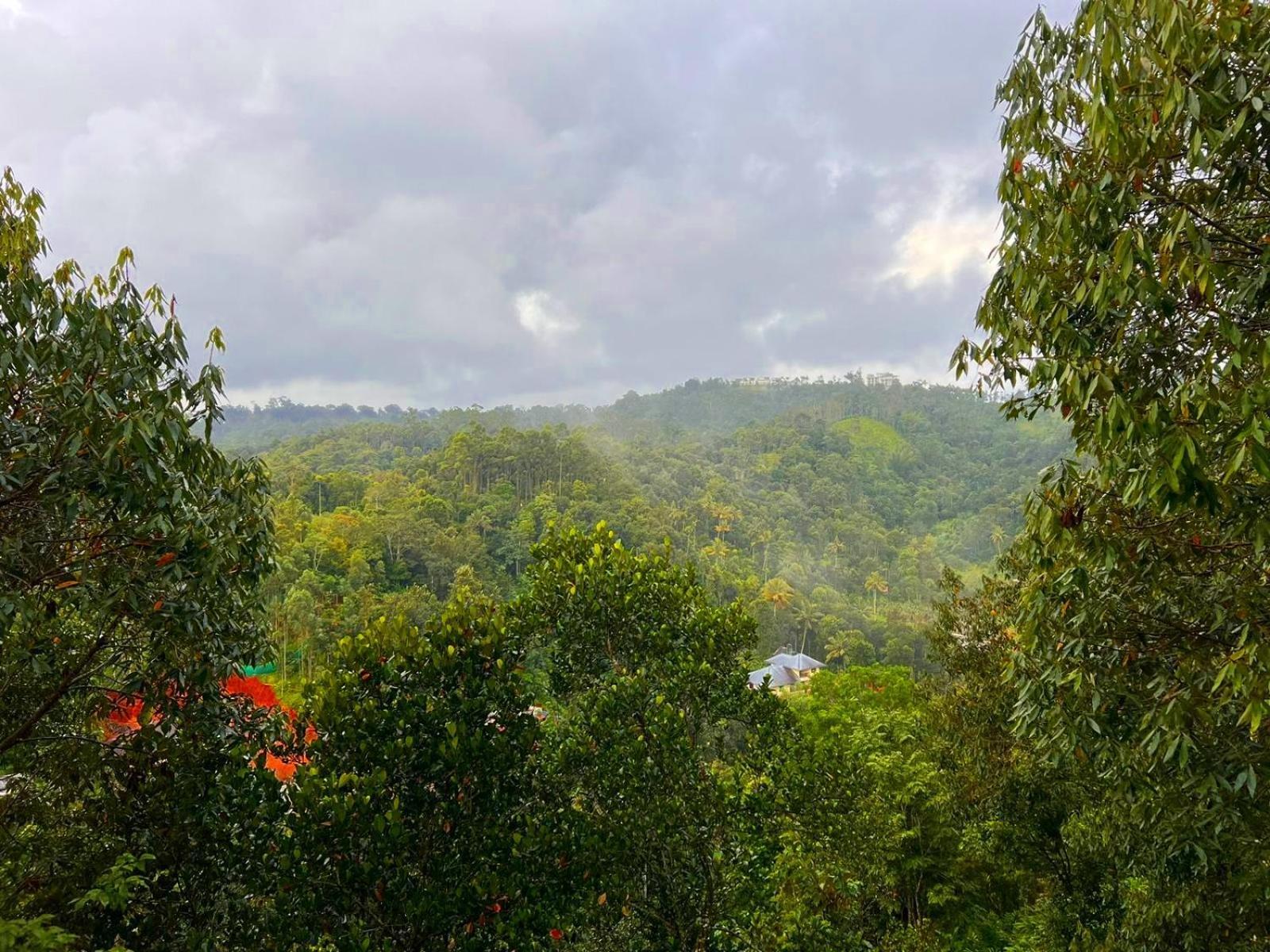Misty Resorts,