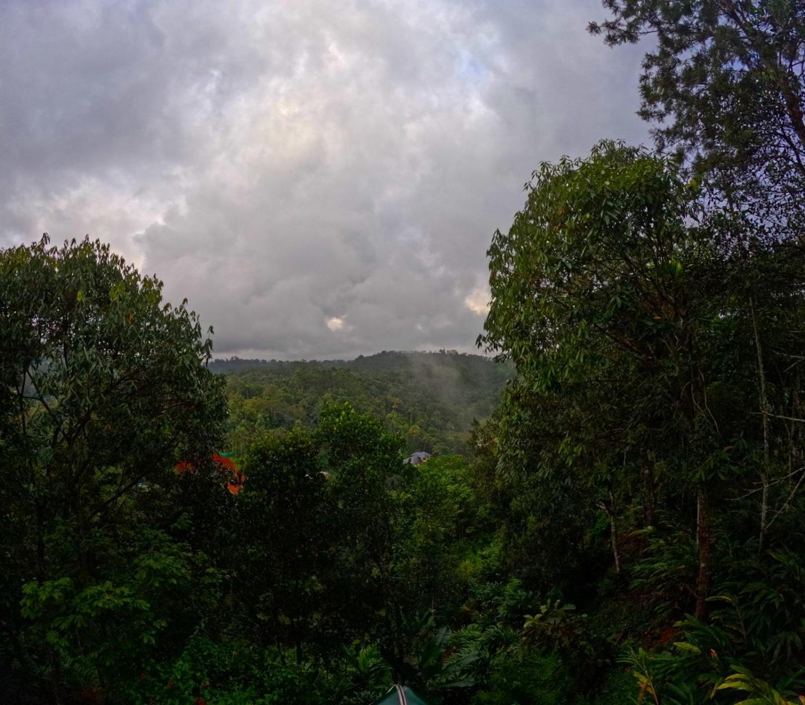 Misty Resorts, Resort Munnar