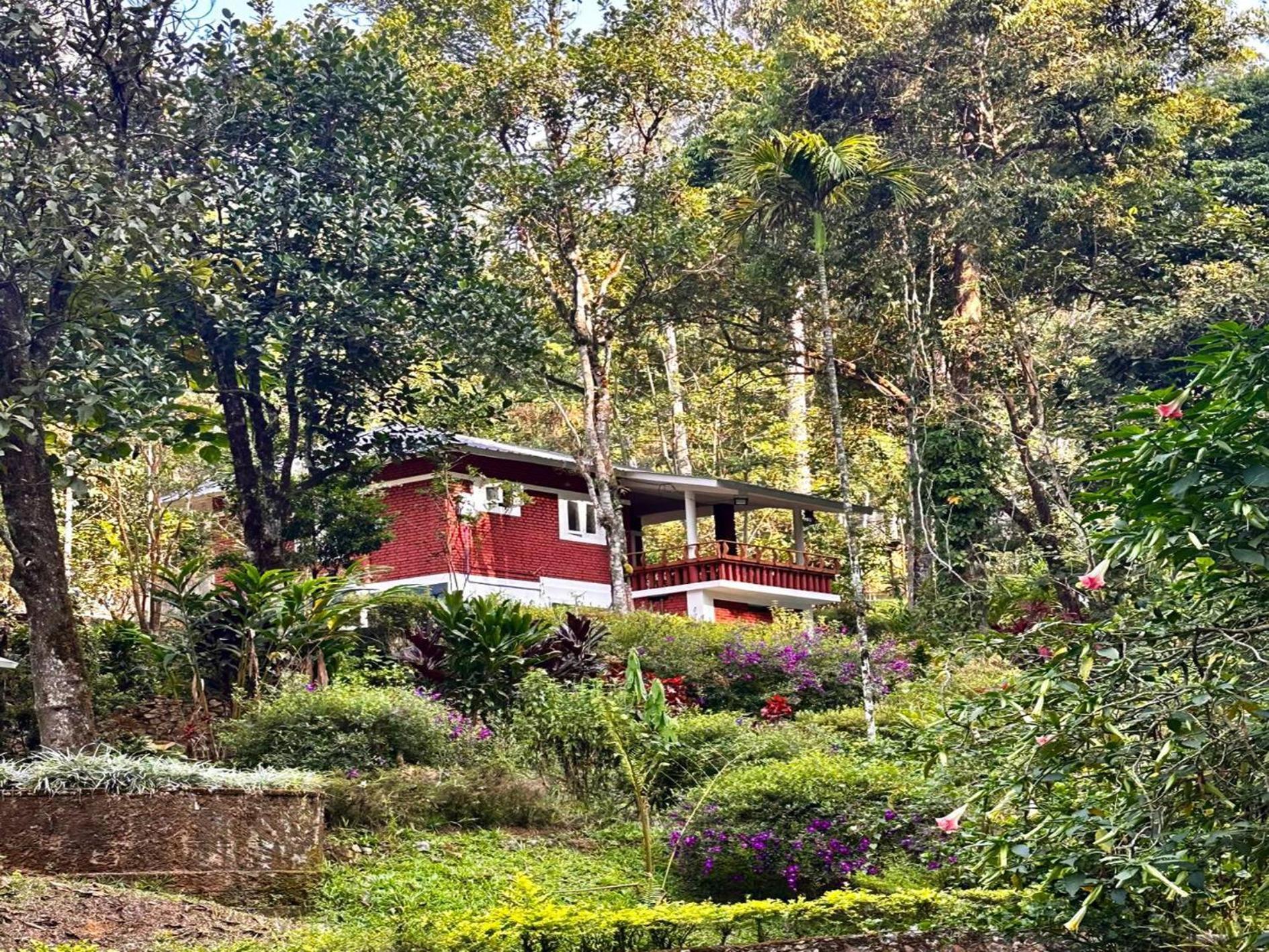 Falling Waters