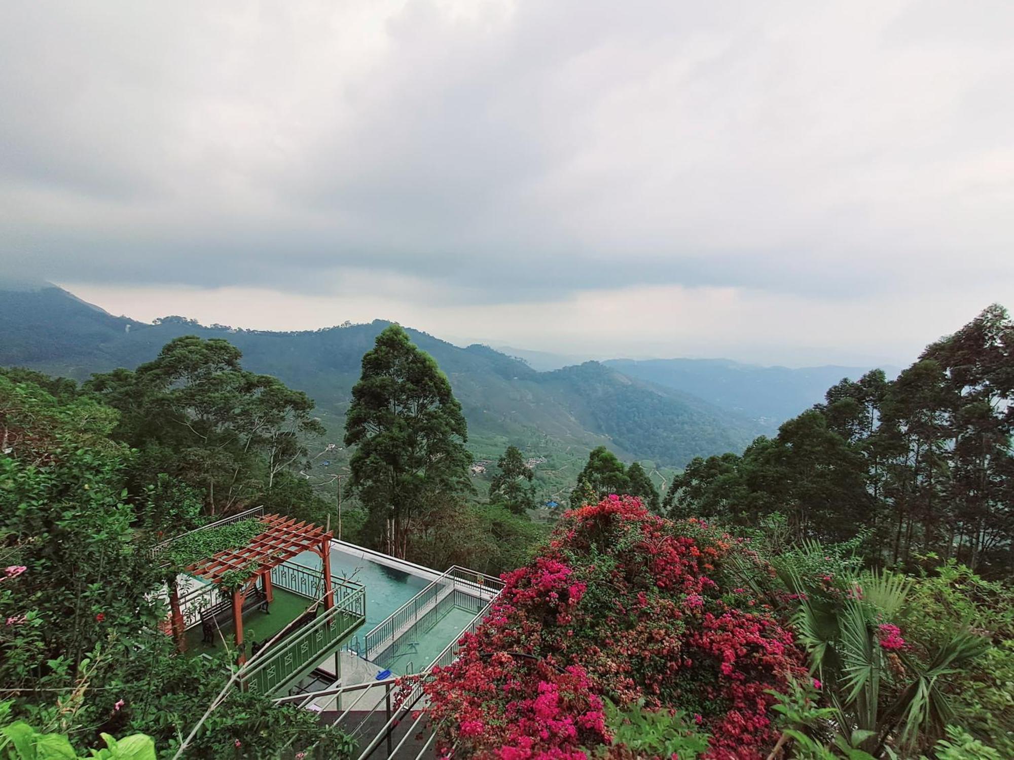 Fragrant Nature Munnar