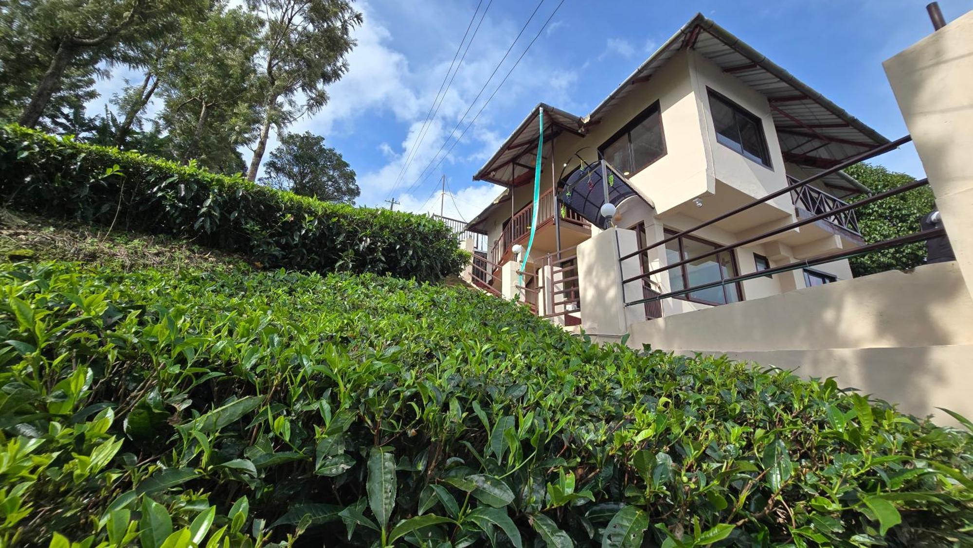 The Unplugged Escape ,munnar Munnar