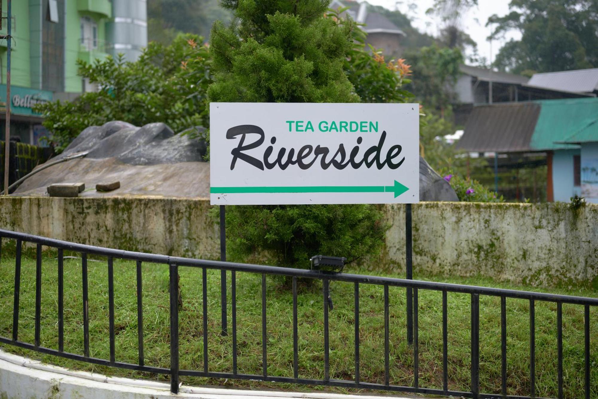 Tea Garden Riverside Munnar