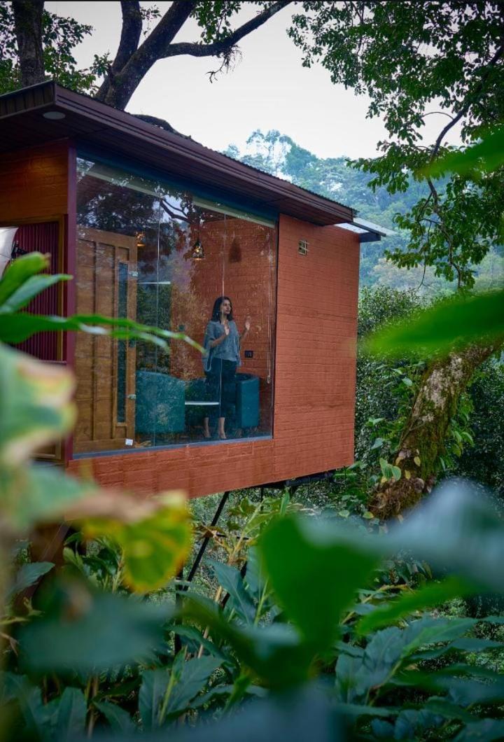Resort Eterno Camellia And Elettaria Munnar