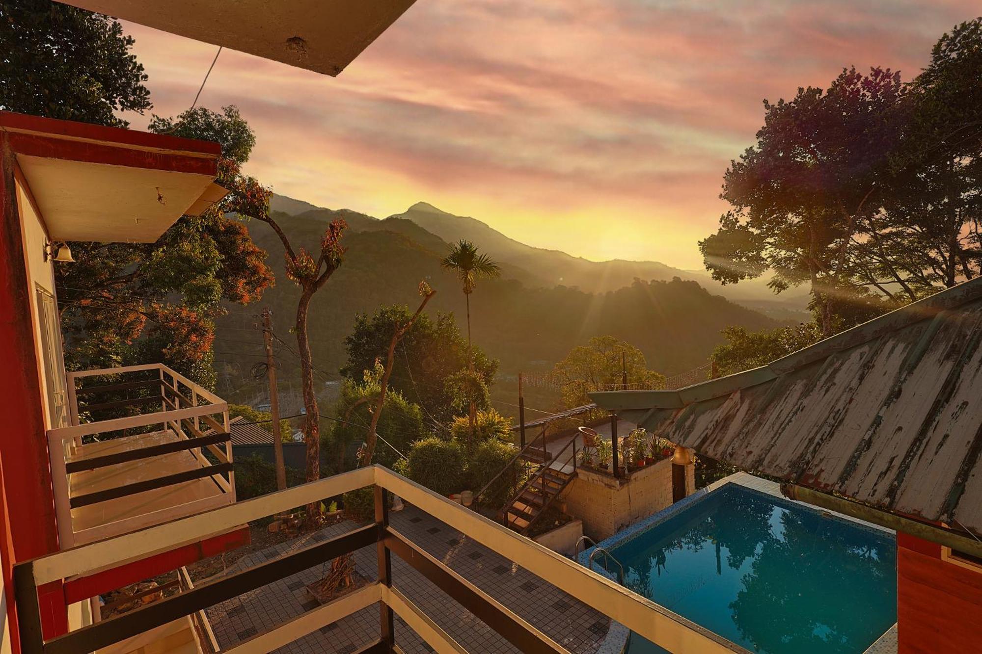 Resort Trees *