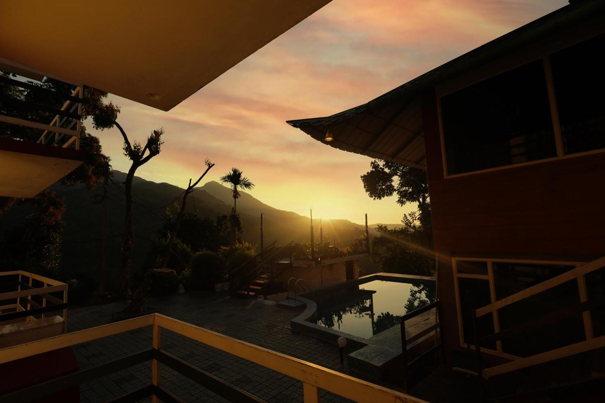 Resort Trees