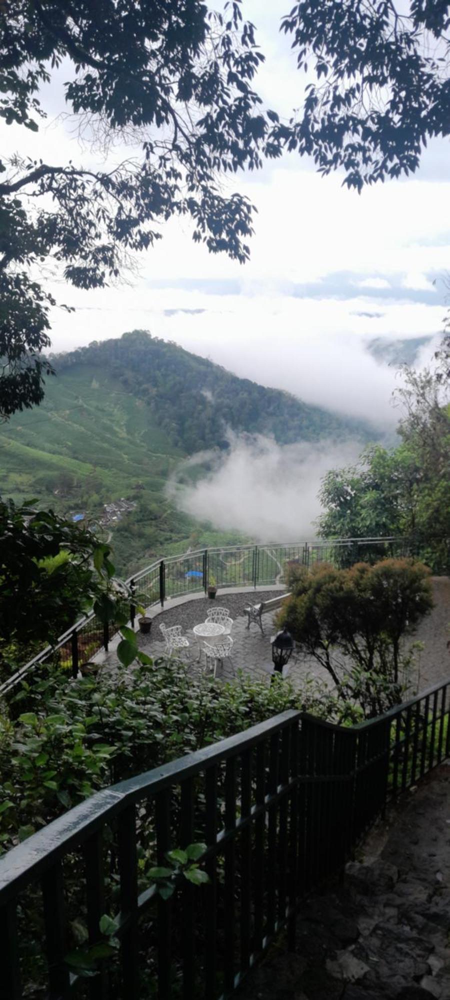 Resort Blackberry Hills Nature &