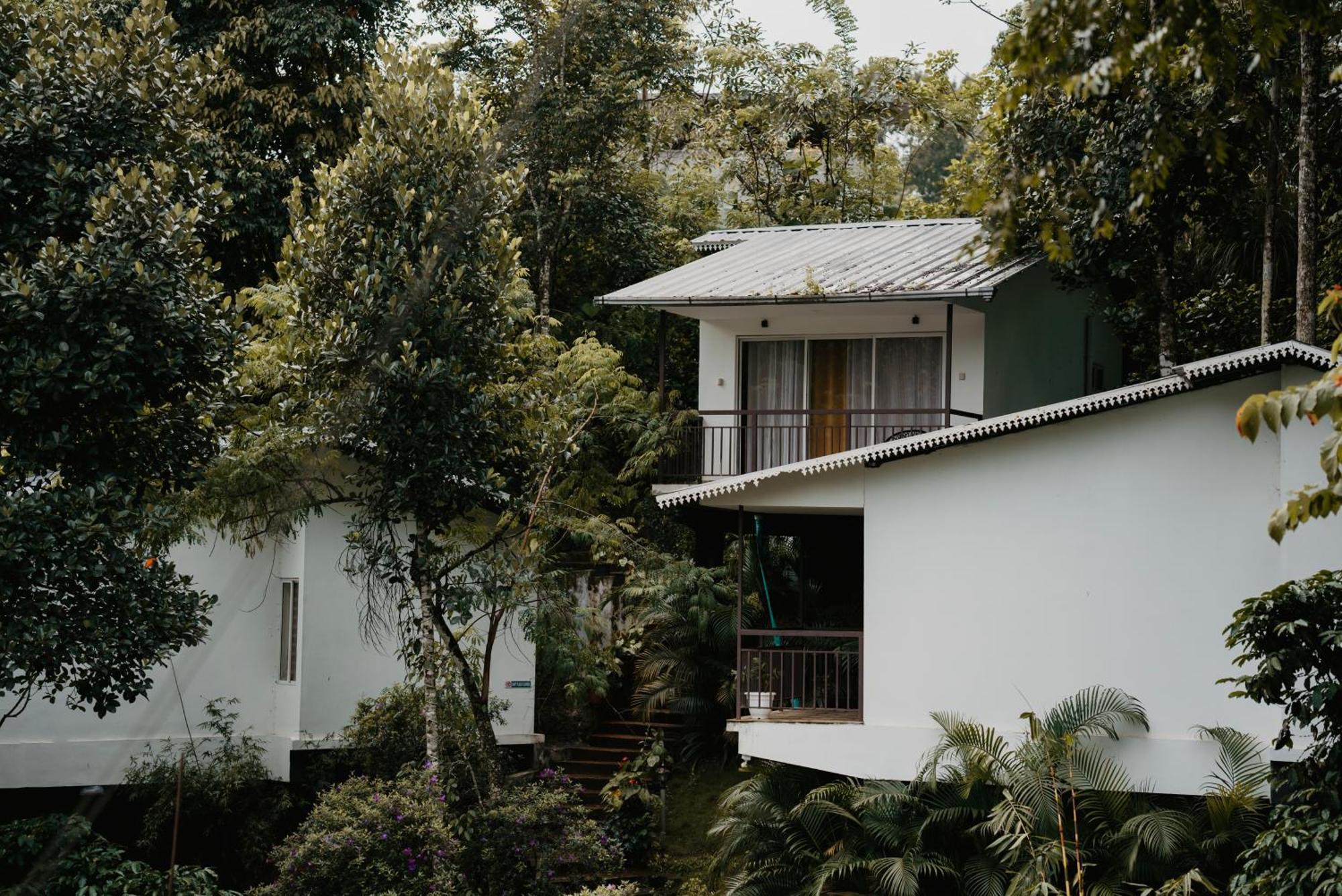 Wild Stories Hotel Munnar