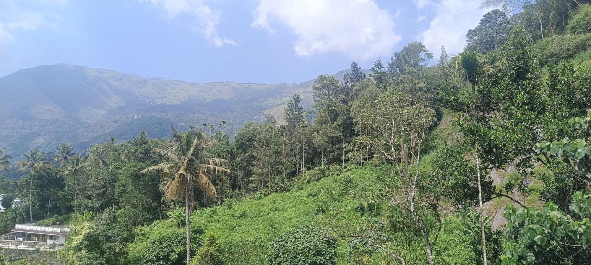 Nandana's Residency