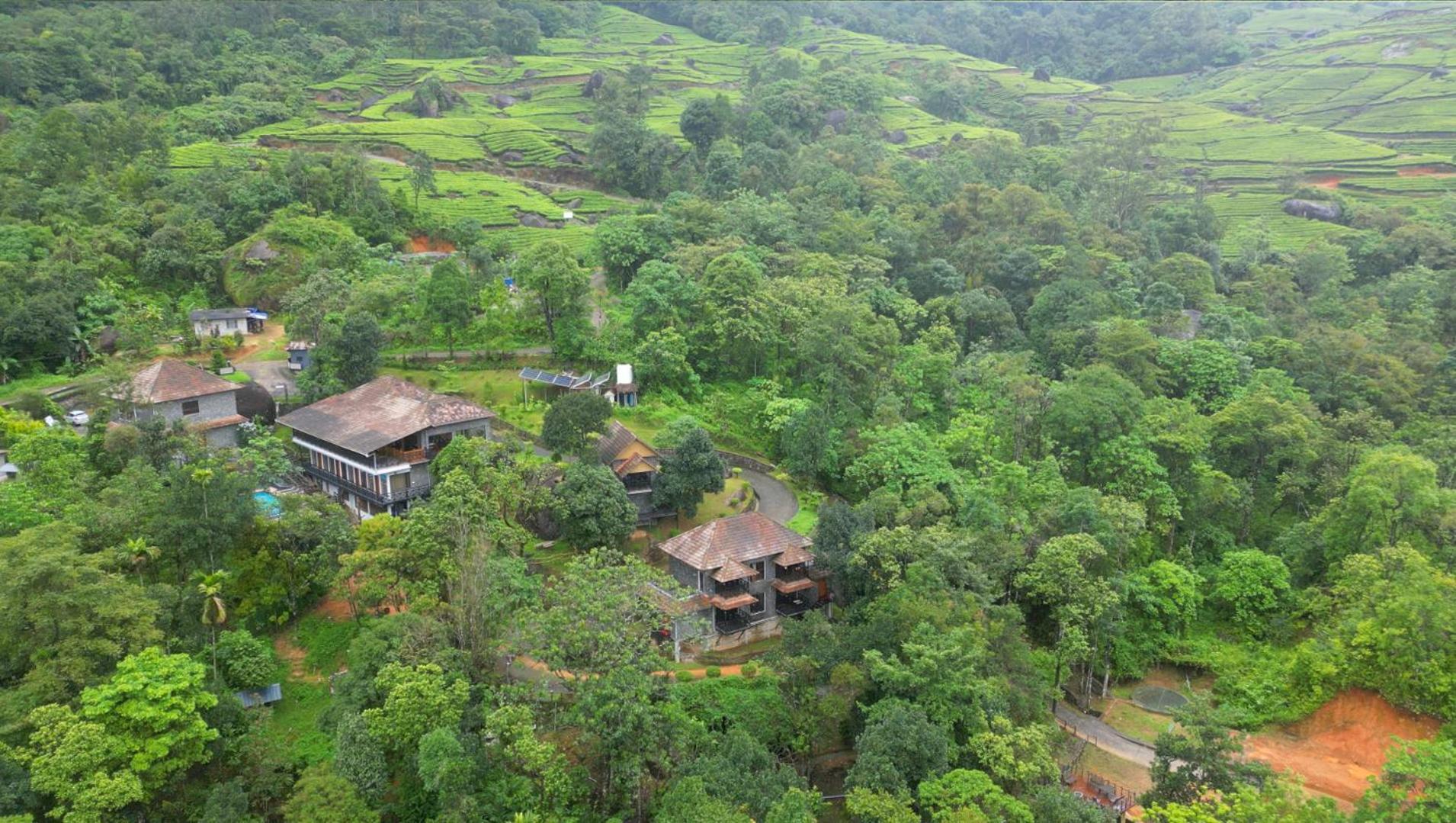 The Wild Trails * Munnar