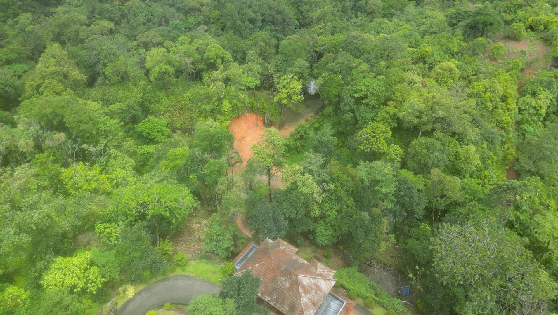 The Wild Trails Resort