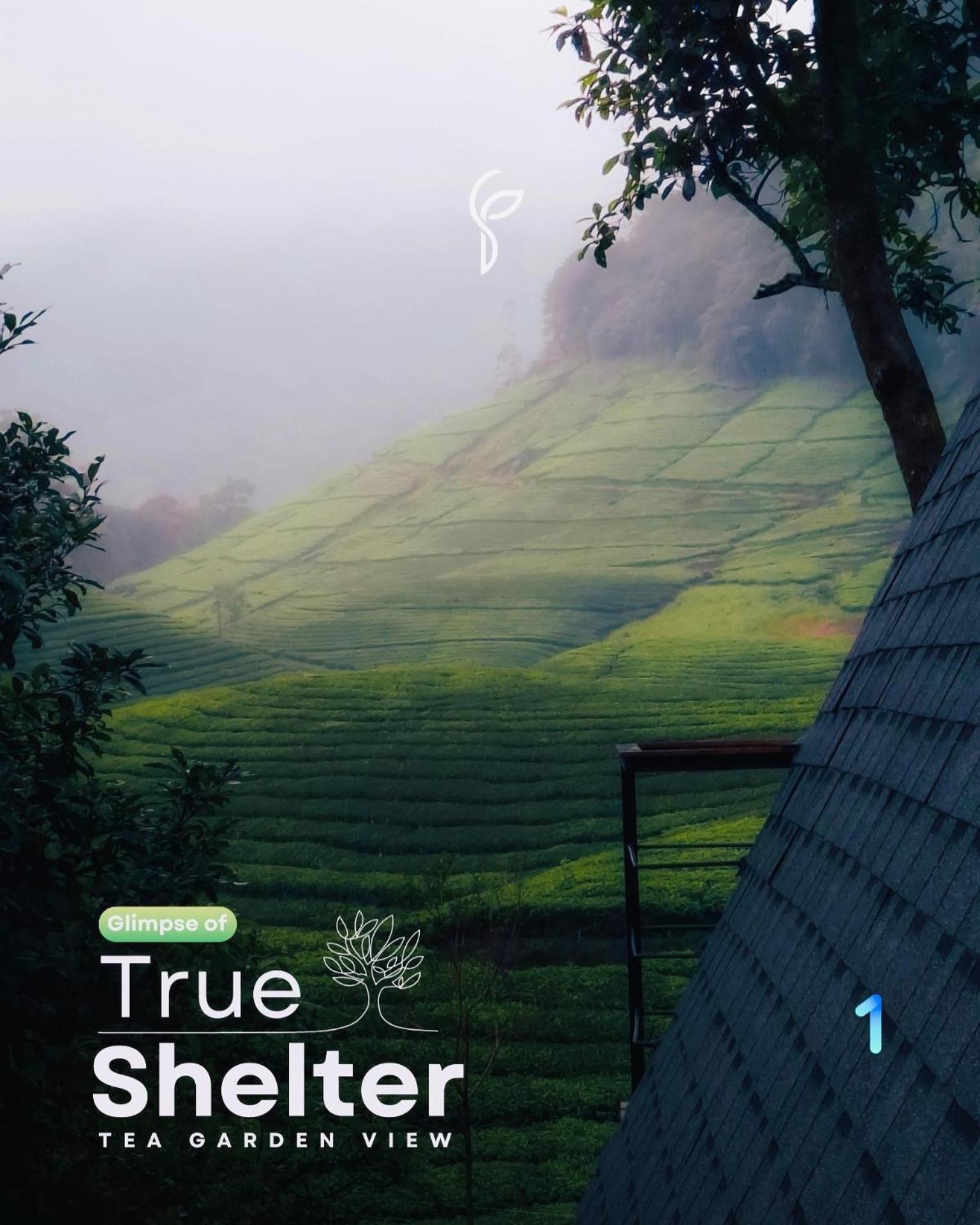 Forestscape Resort Munnar